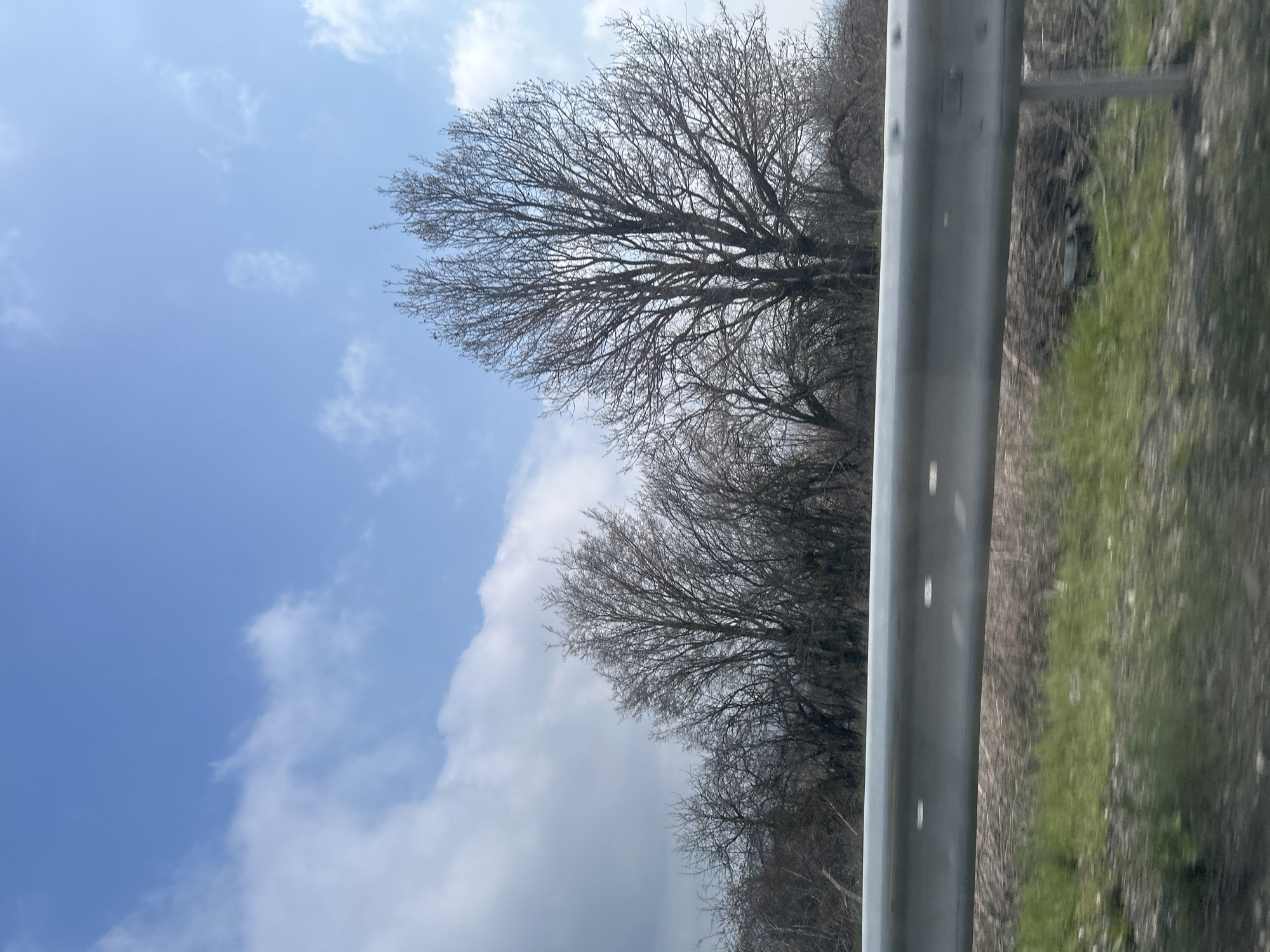 A roadside view features a silver guardrail prominently in the foreground, with a backdrop of bare trees against a sky with scattered clouds. Patches of green vegetation are visible on the right side of the frame. The city and specific location are unknown.