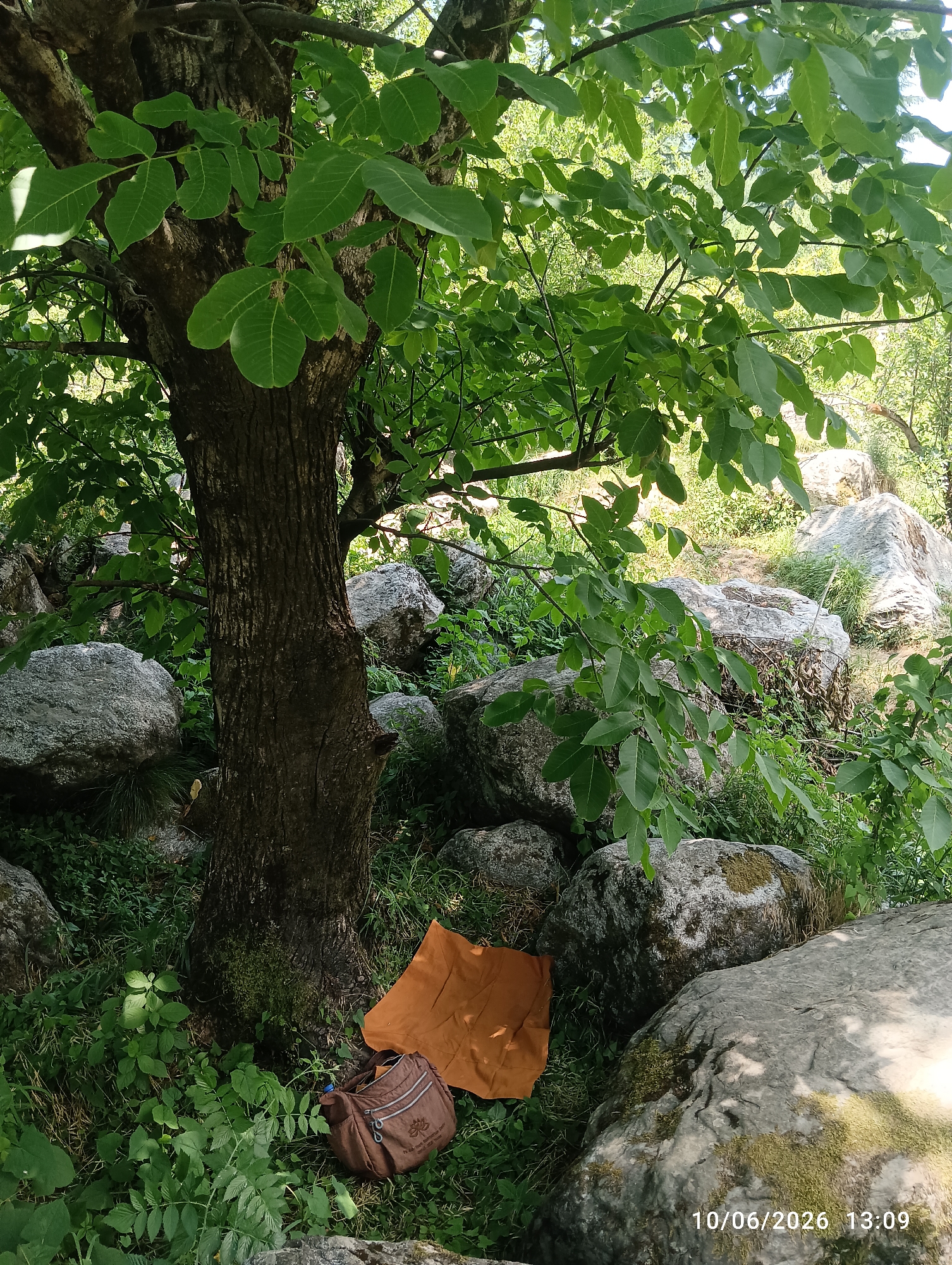 The image depicts a shaded outdoor scene with a large tree trunk in the foreground, surrounded by rocks and greenery. A brown bag and an orange cloth are placed on the ground near the base of the tree. The background shows more rocks and foliage, suggesting a natural or park-like environment. A timestamp "10/06/2026 13:09" is visible in the lower right corner. The location is stated to be Barheta, India.