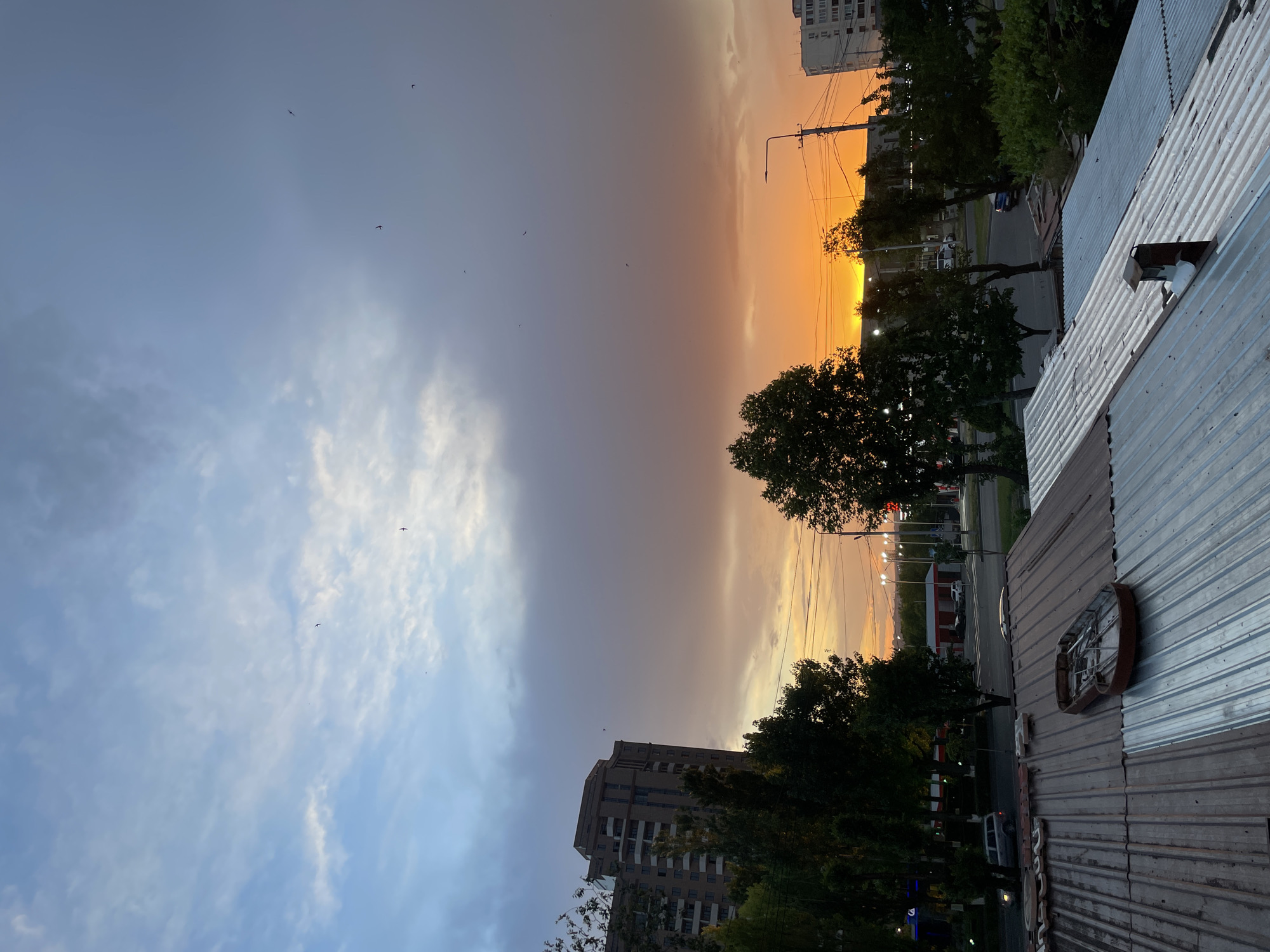 The image captures a cityscape at sunset, likely taken from an elevated vantage point in Yerevan, Armenia. The sky is divided between a blue and cloudy section on the left and a vibrant orange and yellow sunset on the right. Several birds are visible in the sky. In the foreground, a corrugated metal roof dominates the view with a circular object attached. Beyond the roof, a street lined with trees, buildings, and streetlights stretches into the distance where the sunset illuminates the horizon. The architectural style of the buildings suggests an urban setting. There is no indication of people visible in the photo.
