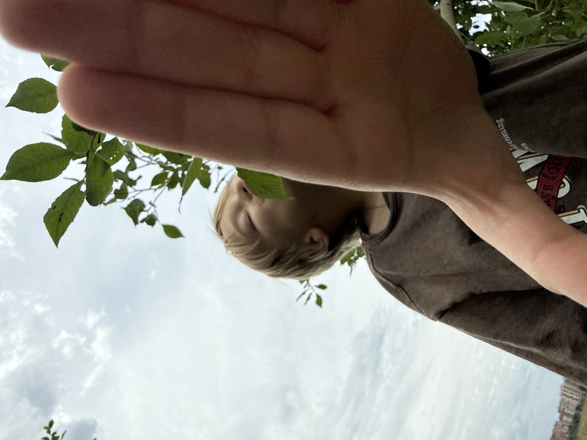In Dmitrov, Russia, a low-angle shot captures a child with blond hair looking upwards and to the right, their eyes closed. The child is wearing a brown t-shirt. A large, out-of-focus hand dominates the foreground, obscuring the lower part of the child's face and chest. Green leaves from a tree are visible in the upper left and right portions of the frame, against a cloudy sky. In the distance, at the bottom of the image, a few buildings are visible.