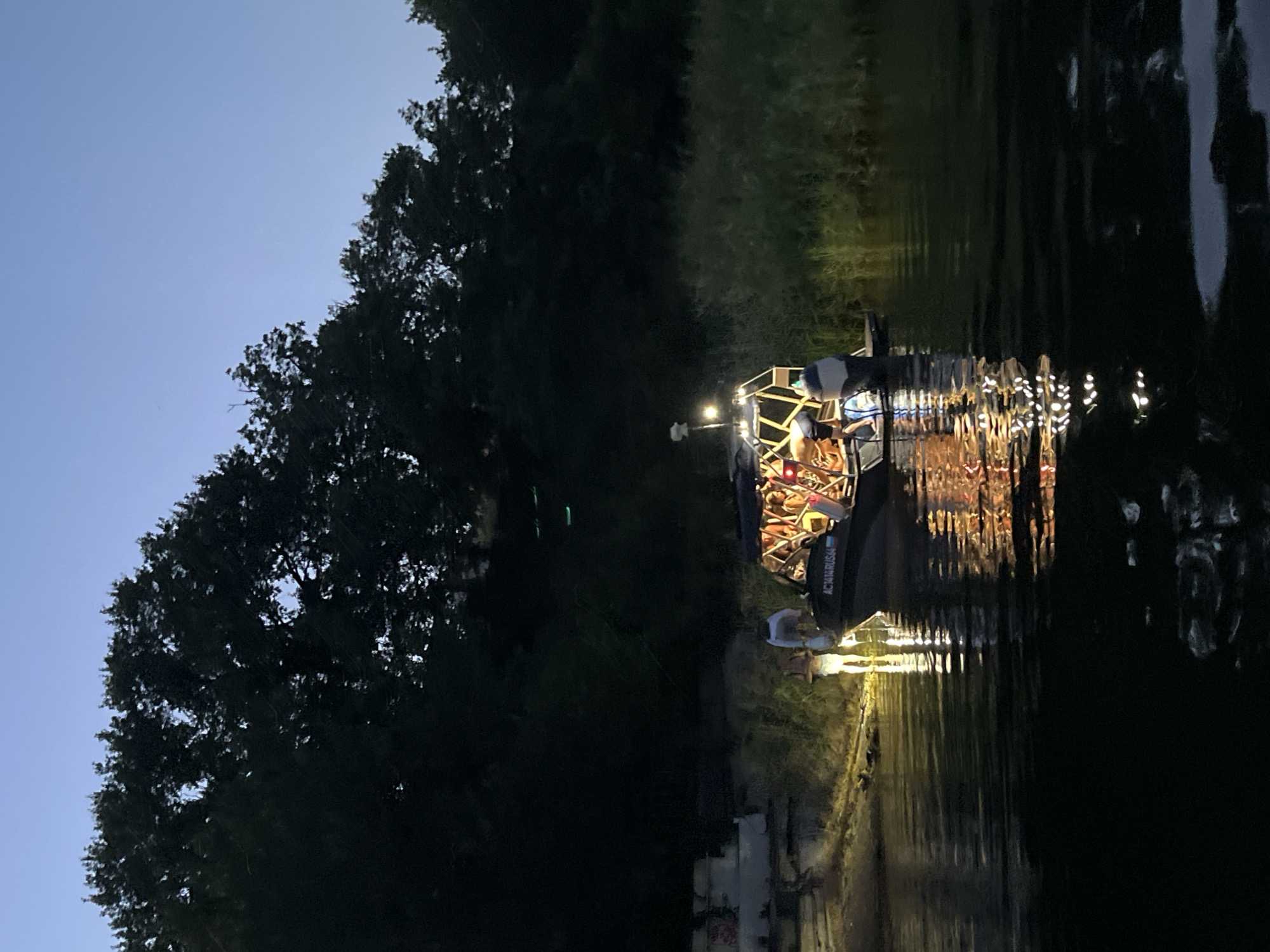 The image depicts a boat on the Volga River near Saratov, Russia, at dusk. The boat, illuminated by internal lights, carries several people. The surrounding environment consists of trees lining the riverbank, a calm body of water with reflections, and a clear sky. The overall scene suggests a leisurely evening activity on the river.