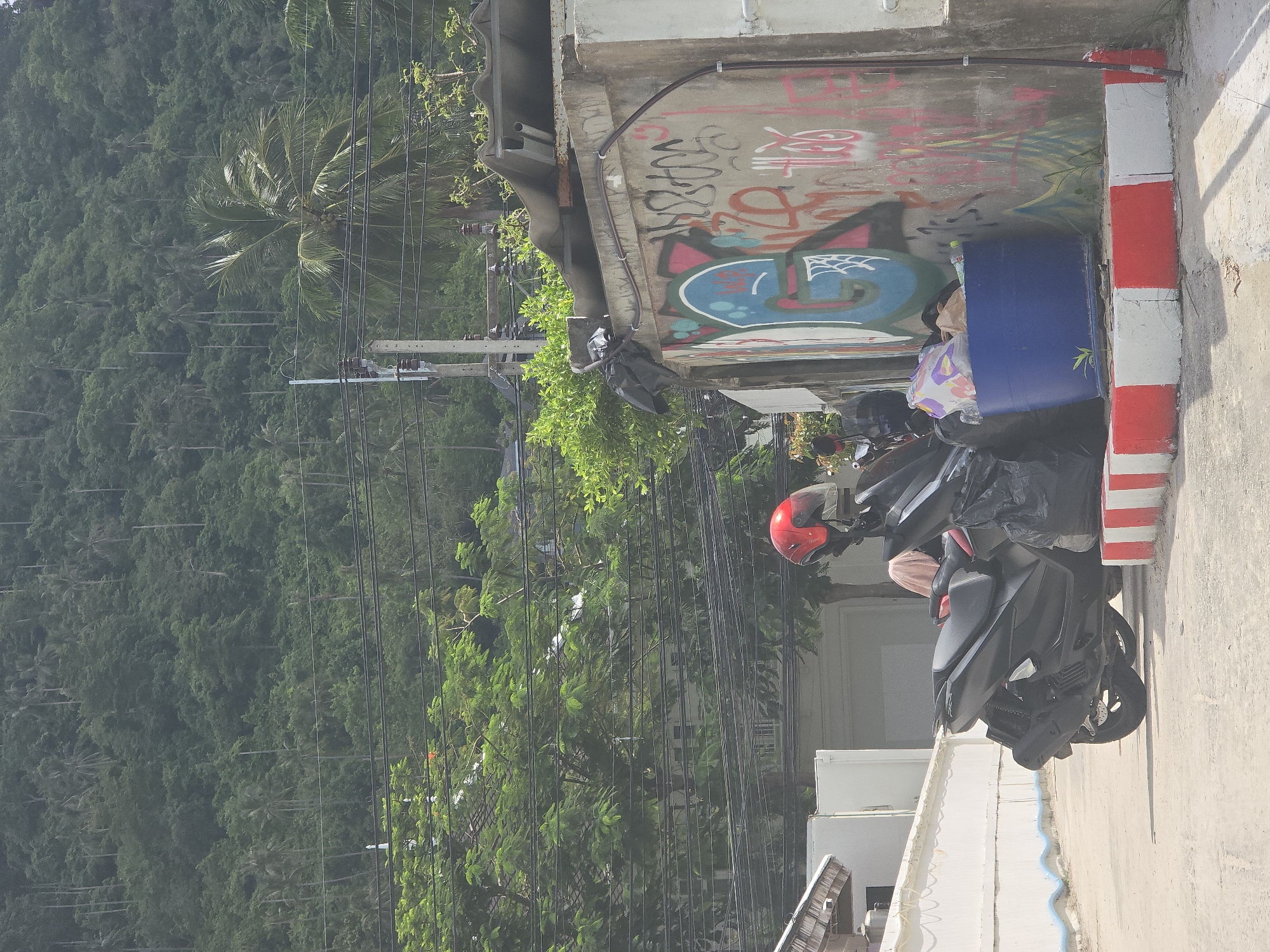 In Baan Chaweng Noi, Thailand, a black scooter is parked on a paved surface next to a concrete wall covered in graffiti. A red helmet rests on the handlebars of the scooter, and a large black trash bag is attached to the back. To the right of the scooter, a blue plastic bin is filled with various items, including more trash bags and plastic bottles. The concrete wall has multiple layers of graffiti in various colors, including blue, pink, and orange. In the background, a lush green hillside covered in dense trees and palm trees rises steeply. Power lines and poles are visible against the hillside, and some green foliage and buildings are present in the middle ground. The foreground consists of the paved road and a low concrete barrier painted with alternating red and white stripes.
