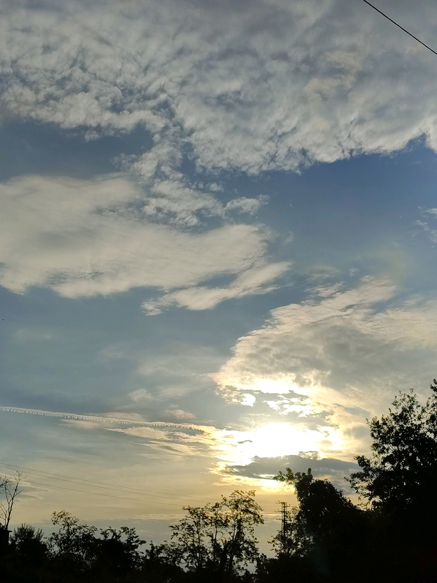 A low-angle, vertical shot captures a dynamic sky at sunset over a silhouetted treeline. The sky is a gradient of soft blues and yellows, with scattered, textured clouds that catch the warm light of the setting sun, which is partially obscured by darker clouds and trees. A distinct contrail from an aircraft stretches horizontally across the mid-left of the frame. Silhouetted against the bright sky are the tops of various trees, some with delicate branches and others denser. Power lines are visible in the foreground and mid-ground, running horizontally and diagonally. The bottom of the image is dominated by the dark silhouettes of trees and what appears to be some man-made structures, possibly utility poles, adding to the urban-edge feel of the scene.