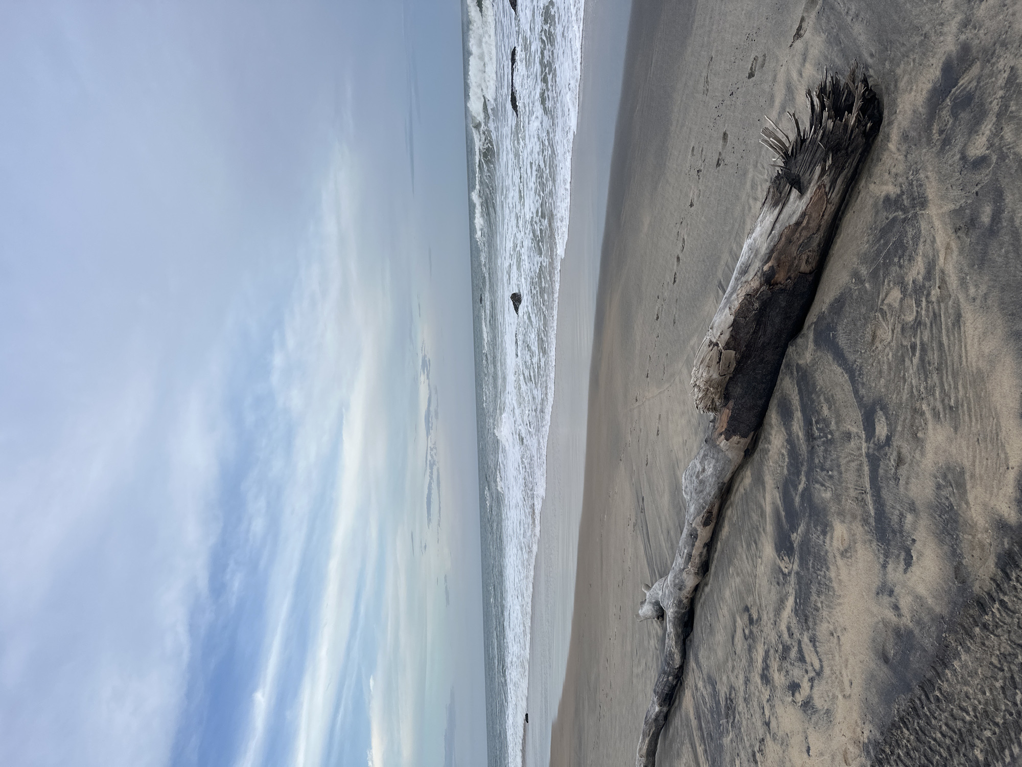 An image of a beach in Arugam Bay, Sri Lanka. A large piece of driftwood lies on the sandy shore, with dark sand patterns visible. The ocean is to the right, with waves breaking near the shore. In the distance, the sea stretches to the horizon under a cloudy sky. No people are present in the image.