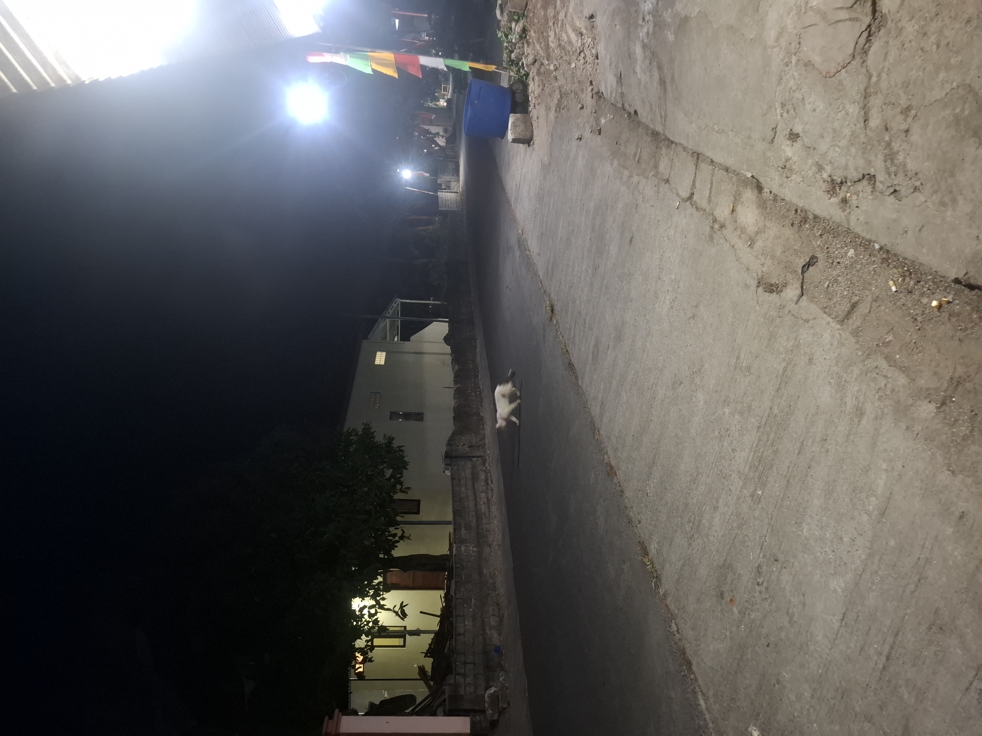 A white cat is walking across a dark asphalt road at night in Bulubrangsi, Indonesia. The cat is positioned in the middle of the road, facing left. The road is bordered by a concrete sidewalk on the right side of the image, and a low brick wall and building on the left. The building on the left has illuminated windows. A bright light source is visible in the upper right corner of the image, casting a strong glare and illuminating a blue plastic bin and some construction debris on the right side of the road. Several colorful triangular flags are attached to a pole next to the blue bin. The sky is dark and there are trees visible behind the building. The overall scene appears to be a residential street at night, illuminated by artificial lighting.