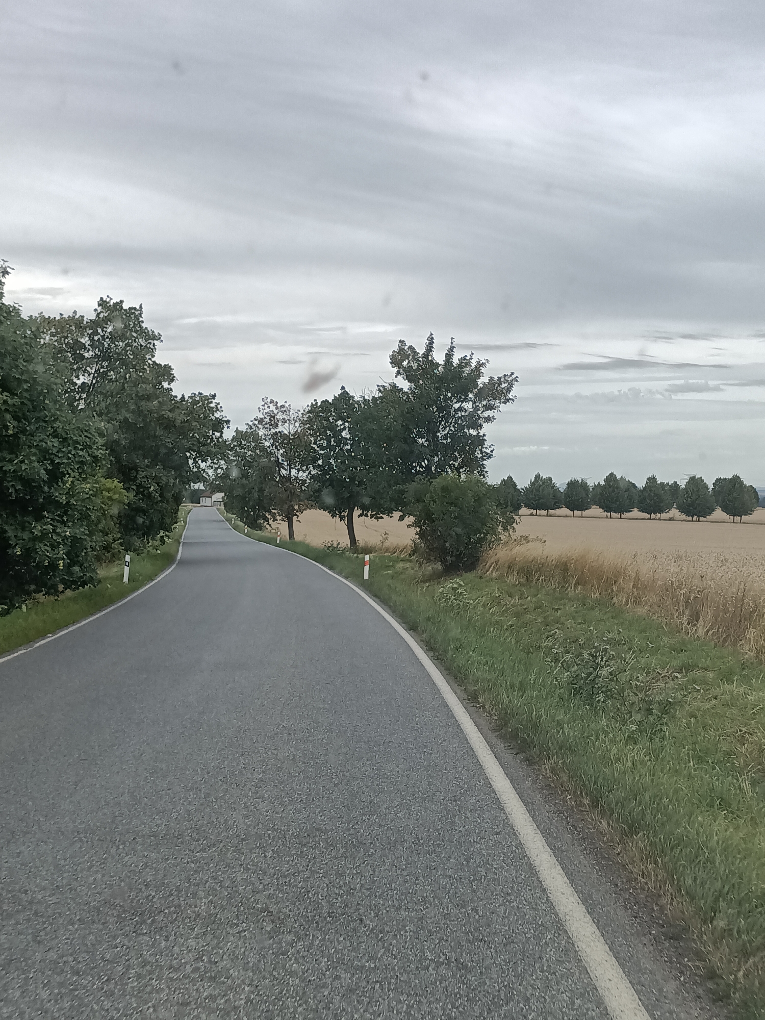 This media file depicts a rural road winding through a landscape under a cloudy sky. The road itself is asphalt, with a white line marking its edge on the right side. On the left, the road is bordered by lush green trees and foliage, with a few white marker posts visible. To the right, a field of dry, golden crops, likely wheat or barley, stretches into the distance. A line of evenly spaced trees runs along the edge of this field, creating a picturesque contrast with the open farmland. In the far distance, hints of rolling hills can be seen against the overcast sky. The overall impression is one of a tranquil, perhaps slightly melancholic, rural setting on an overcast day. There is no visible text in the image.
