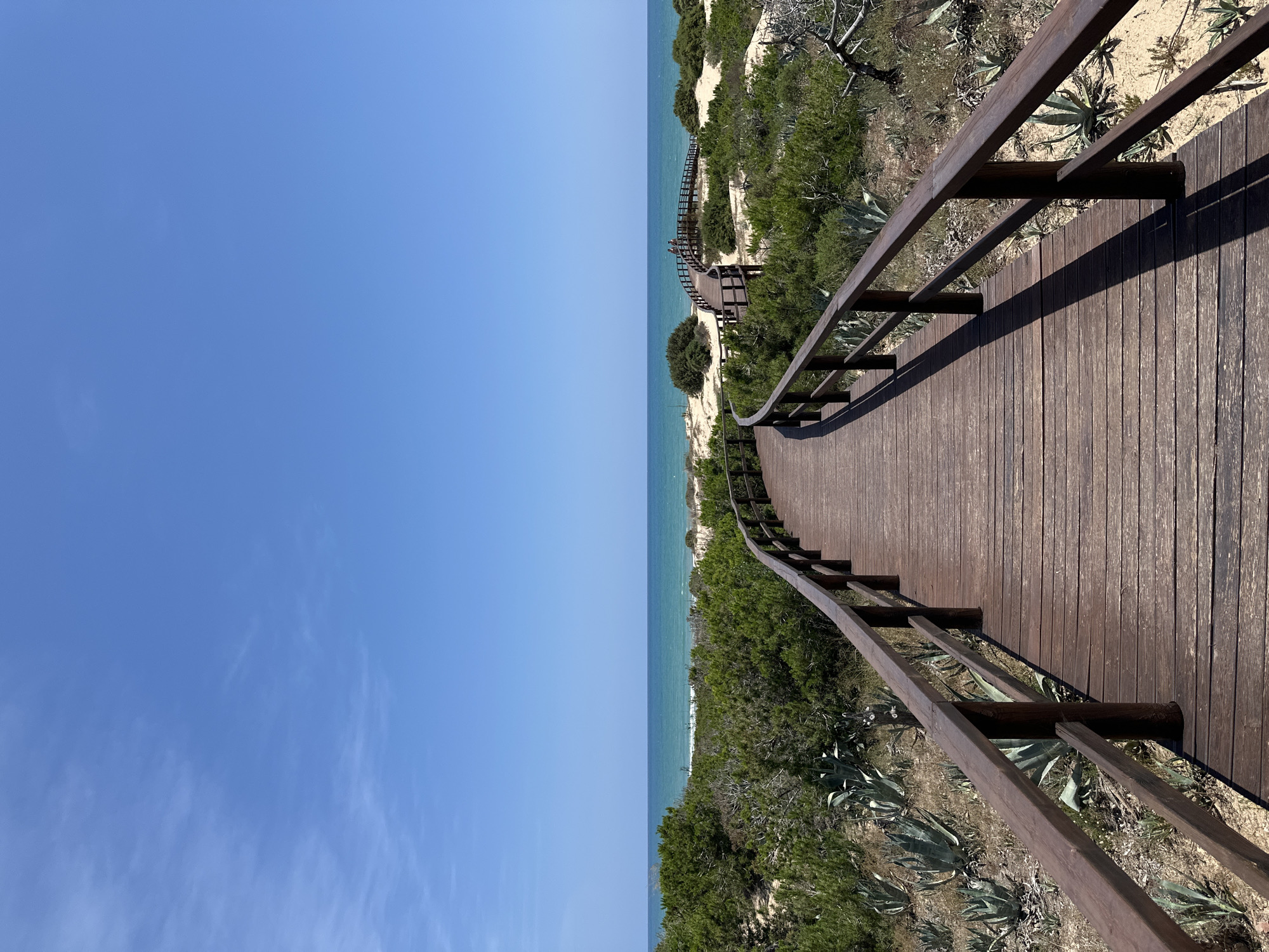 A wooden boardwalk, dark brown in color with matching railings, extends into the foreground and curves gently to the right, leading towards the sea. The boardwalk is constructed from parallel planks. On either side of the boardwalk, sandy terrain is covered with dense, low-lying green vegetation, including numerous succulent-like plants with thick, spiky leaves (resembling agave). Further along the path, the boardwalk continues through sand dunes heavily populated with green bushes and scrub. In the mid-distance, a raised section of the boardwalk forms an arching structure. Two small, unidentifiable human figures are visible standing on this elevated section, facing towards the ocean. The background features the horizontal expanse of the turquoise-blue Mediterranean Sea, with subtle white waves breaking near the shore. Above the sea, the sky is clear and bright blue, with a few faint, wispy white clouds present in the upper left quadrant. The scene is illuminated by strong sunlight, casting distinct shadows of the railings onto the boardwalk planks and the sandy ground. This coastal path is located in Guardamar del Segura, Spain.
