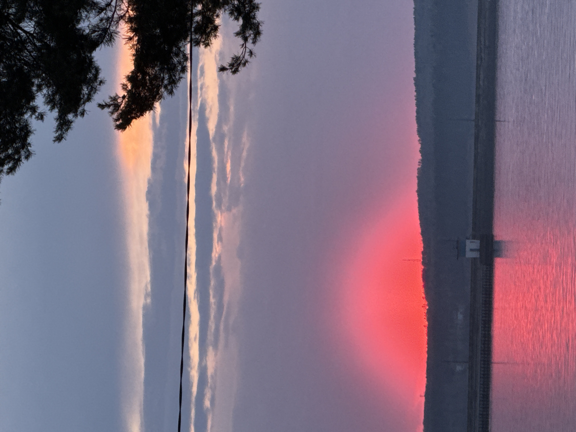 The image shows a body of water reflecting a vibrant red sunset. The edge of a forest or tree line is visible, with a structure with an "E" on it. Silhouetted tree branches appear in the upper left corner of the frame. Power lines run vertically through the sky. A city location, Chaikovsky, Russia, is given as context.