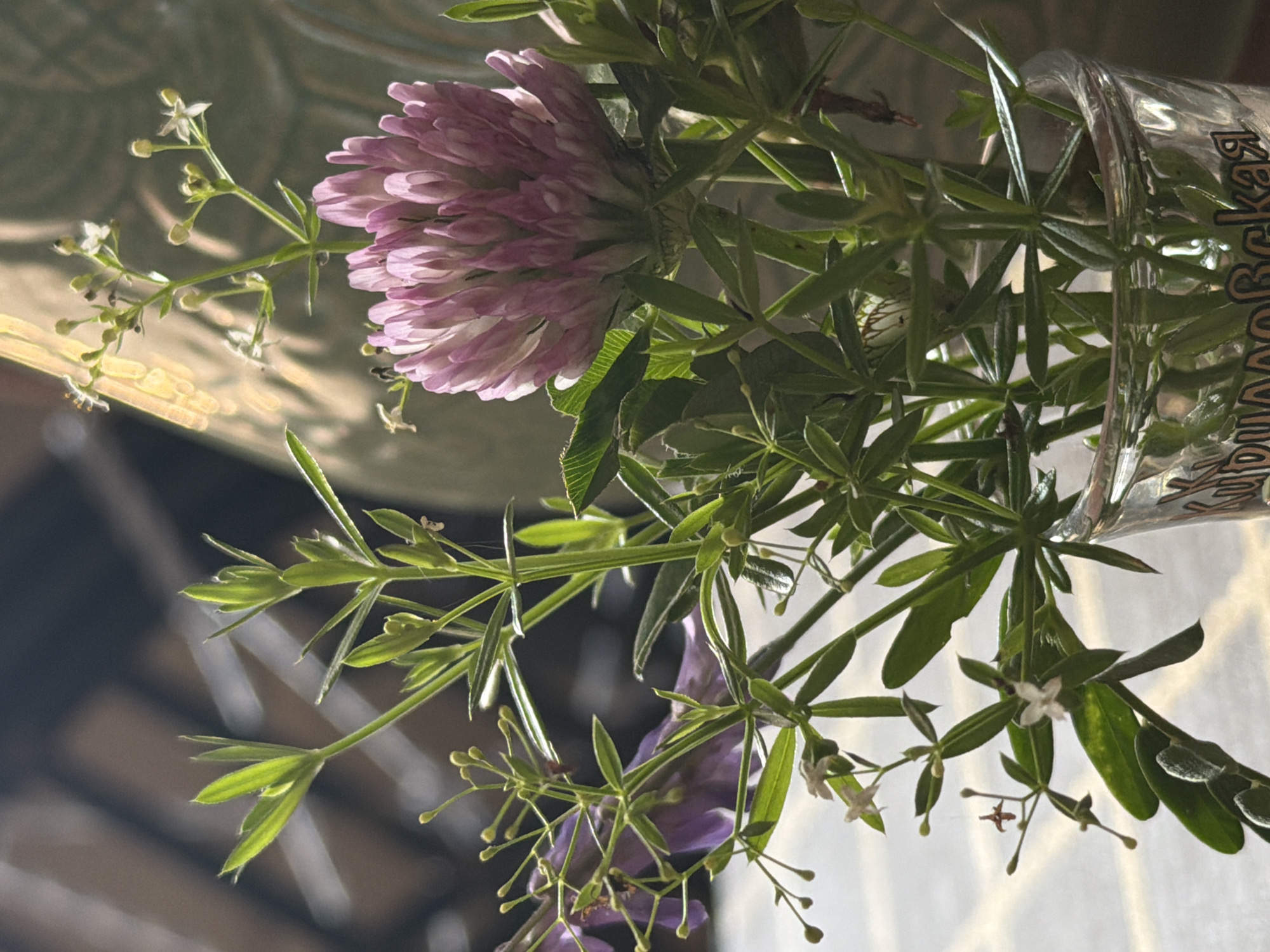 A close-up shot shows a bouquet of wildflowers, predominantly pink clover and some delicate purple bell-shaped flowers, arranged in a clear glass jar. The jar, which appears to be a shot glass, has Cyrillic lettering visible on its lower portion, suggesting it might be a souvenir or from a specific region. The flowers and greenery are illuminated by natural light, creating a soft glow and casting shadows. The background is blurred, with hints of earthy tones and textures, possibly an outdoor setting or a windowsill. There are no people or animals present in the image. The overall impression is one of rustic simplicity and natural beauty.