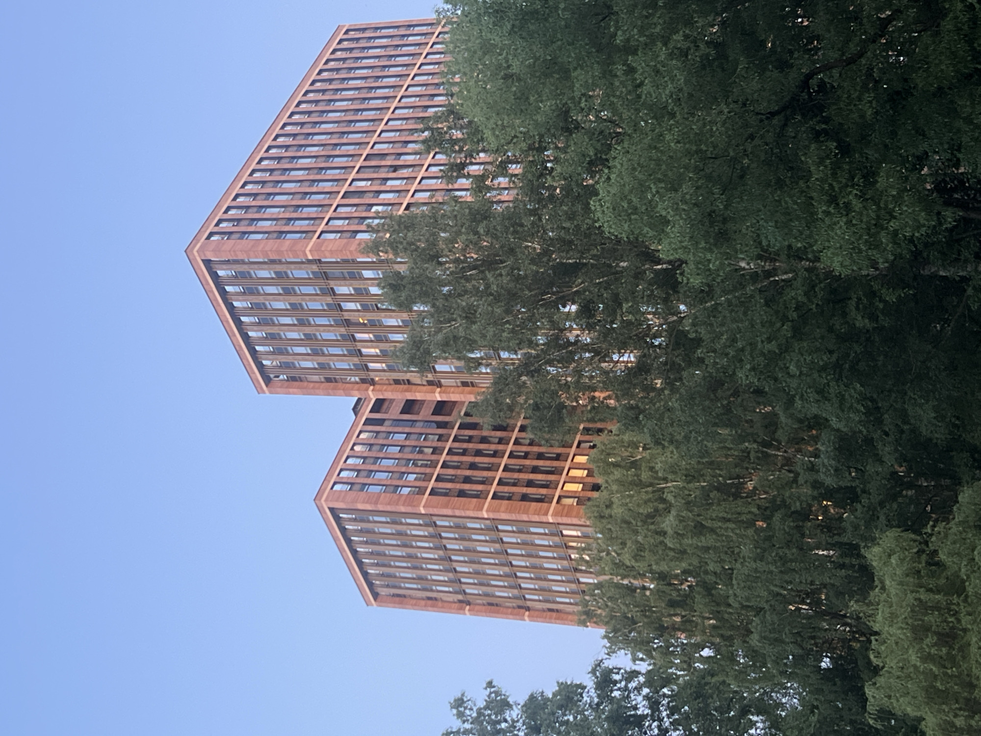 The image displays a daytime scene in Russia, featuring two identical modern high-rise buildings partially obscured by a dense canopy of trees. The buildings exhibit reddish-brown paneling and numerous rectangular, vertically oriented windows, some reflecting the clear blue sky, others showing a yellowish interior light. The sky above is cloudless and light blue. In the foreground and midground, a dense mass of green deciduous trees, including identifiable birch trees, occupies the lower half of the frame, concealing the lower sections of both buildings. No people, specific actions, or other discernible objects are present.