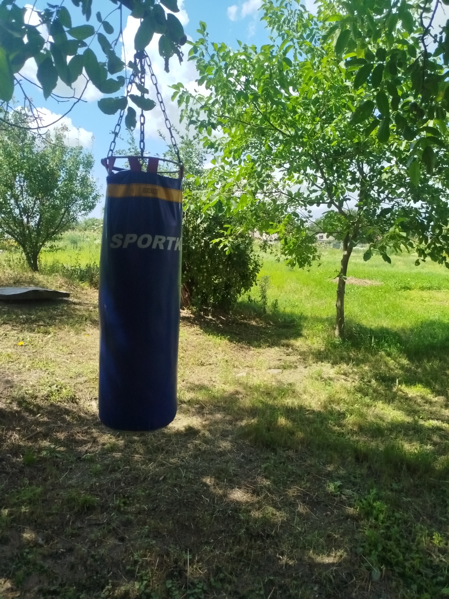 A blue punching bag with a yellow stripe and the word "SPORTKA" written in white hangs from chains attached to a tree branch. The punching bag is positioned outdoors in a grassy area, with green trees and foliage surrounding it. In the background, a lush green field stretches towards a bright blue sky with scattered white clouds. The scene appears to be set in the city of Nova Znamianka, Ukraine, on a sunny day.