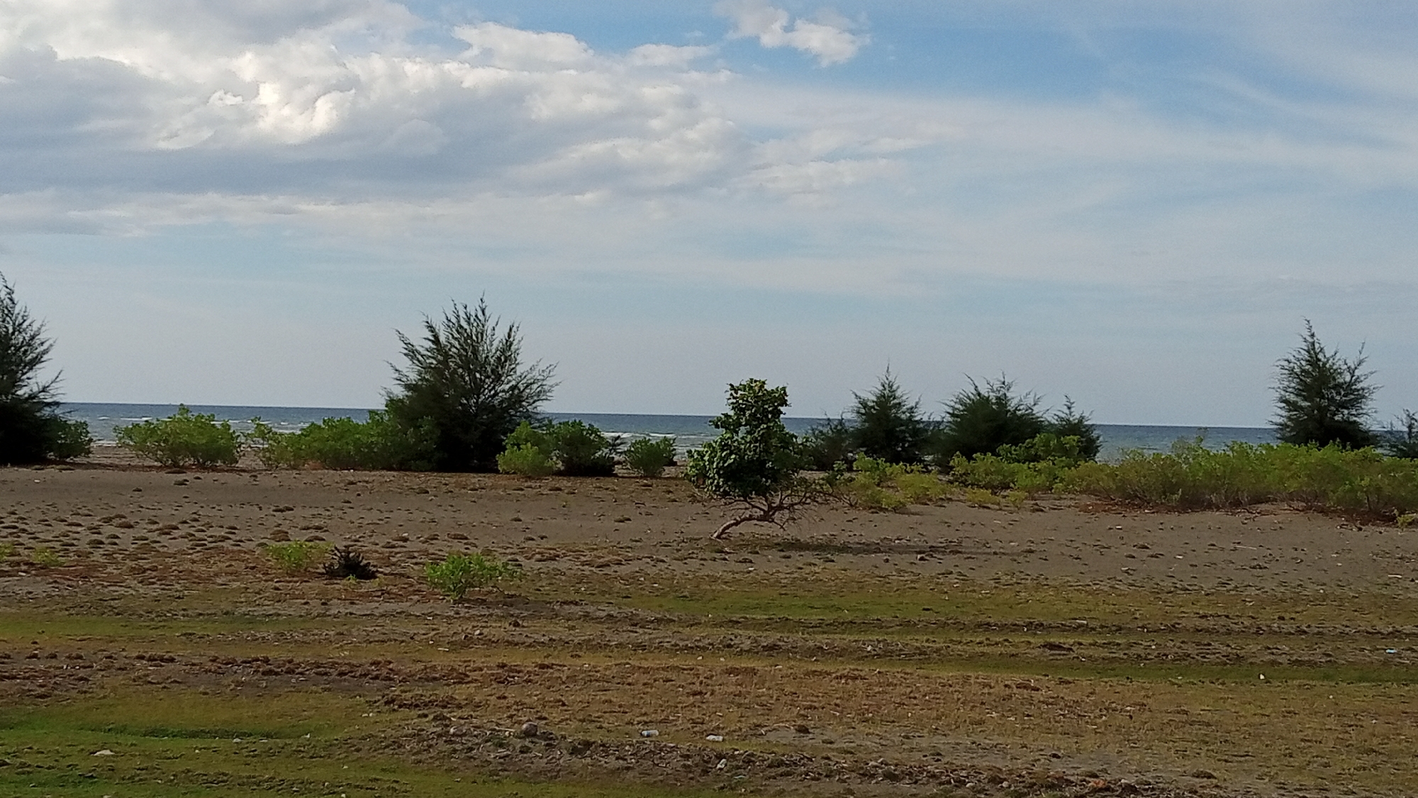 The image shows a beach scene with a body of water in the background and sand in the foreground. There are various types of vegetation, including trees and bushes, scattered across the sand. The sky is partly cloudy. The location is identified as Pusong, Indonesia, suggesting it is a coastal area. The scene is natural and appears to be undeveloped. There are no people or specific actions depicted. The overall impression is one of a serene, natural landscape.