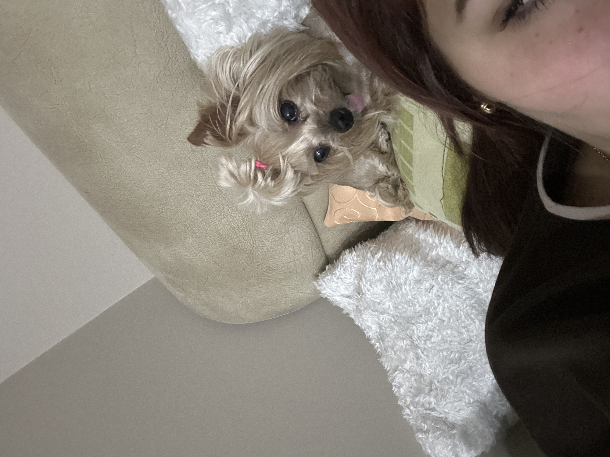 A medium shot, taken at an oblique angle, depicts a person and a small dog on a light-colored sofa, possibly indoors. A portion of a person's face is visible on the right, showing dark hair, skin, and an earring. Next to the person, the dog is looking towards the camera. The dog is light brown and white, with a pink bow in its hair. The sofa is covered with a white, fluffy blanket and a green and beige patterned pillow. The background is a light gray wall. The location is not discernible from the image.