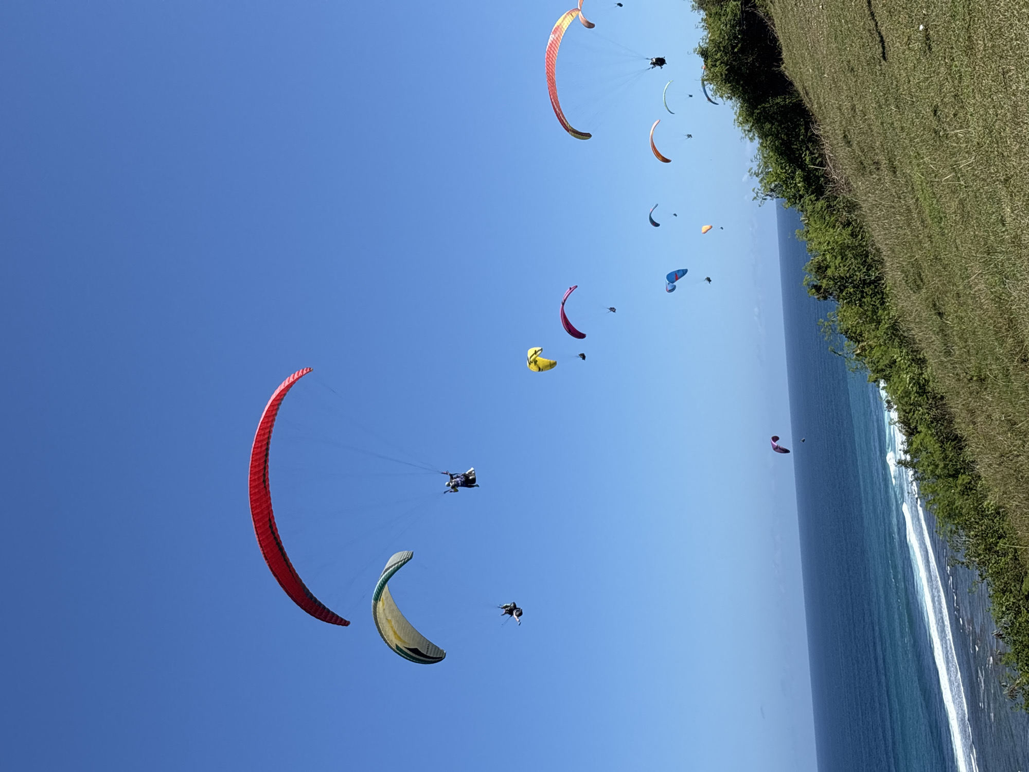 The image depicts a paragliding scene in Kuta Selatan, Indonesia. Multiple paragliders are airborne against a clear blue sky. The landscape includes a cliff covered in green vegetation, and the ocean with visible waves. The paragliders are various colors, including red, yellow, and blue. Some paragliders have one or two individuals attached to them.