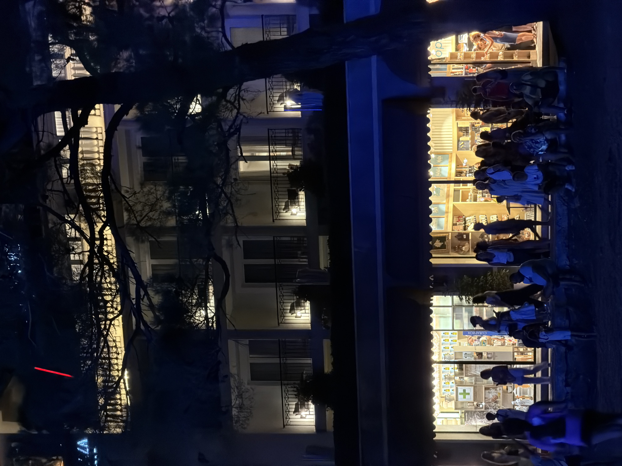 In Budva, Montenegro, at nighttime, a tree with dark, dense branches partially obscures the view of a multi-story building and a row of shops. The building above has balconies with ornate railings and illuminated windows, some with chairs visible. Below, the shops are brightly lit, displaying their merchandise through large glass windows. A crowd of people is gathered in front of the shops, some standing and some sitting on a low wall. They appear to be strolling or observing the shops. The foreground is dark, suggesting a sandy or beach-like surface. A faint red line is visible in the upper left portion of the image, superimposed on the building.