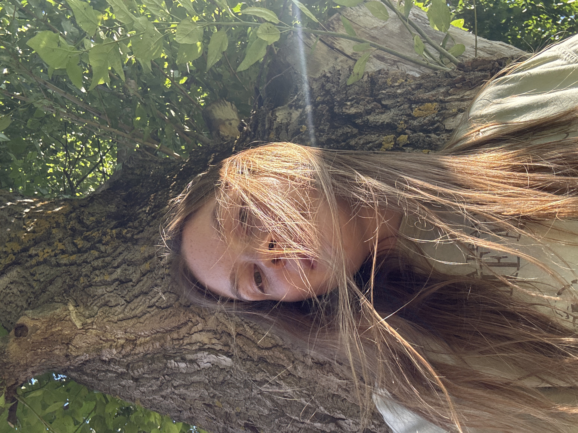 The image shows a person lying on a tree branch outdoors. The person's face is partially obscured by their long, light brown hair, which is spread across the branch and their clothing. They are wearing a light-colored shirt with some faint text visible on it. The tree branch is rough and textured, with some moss or lichen growing on it. Green leaves from the tree are visible in the background, suggesting it is daytime and the weather is likely fair, allowing for an outdoor activity like resting on a tree. The perspective is from below, looking up at the person and the tree. The overall mood of the image is relaxed and natural, with the sunlight dappling through the leaves. The location is identified as Yoshkar-Ola, Russia.