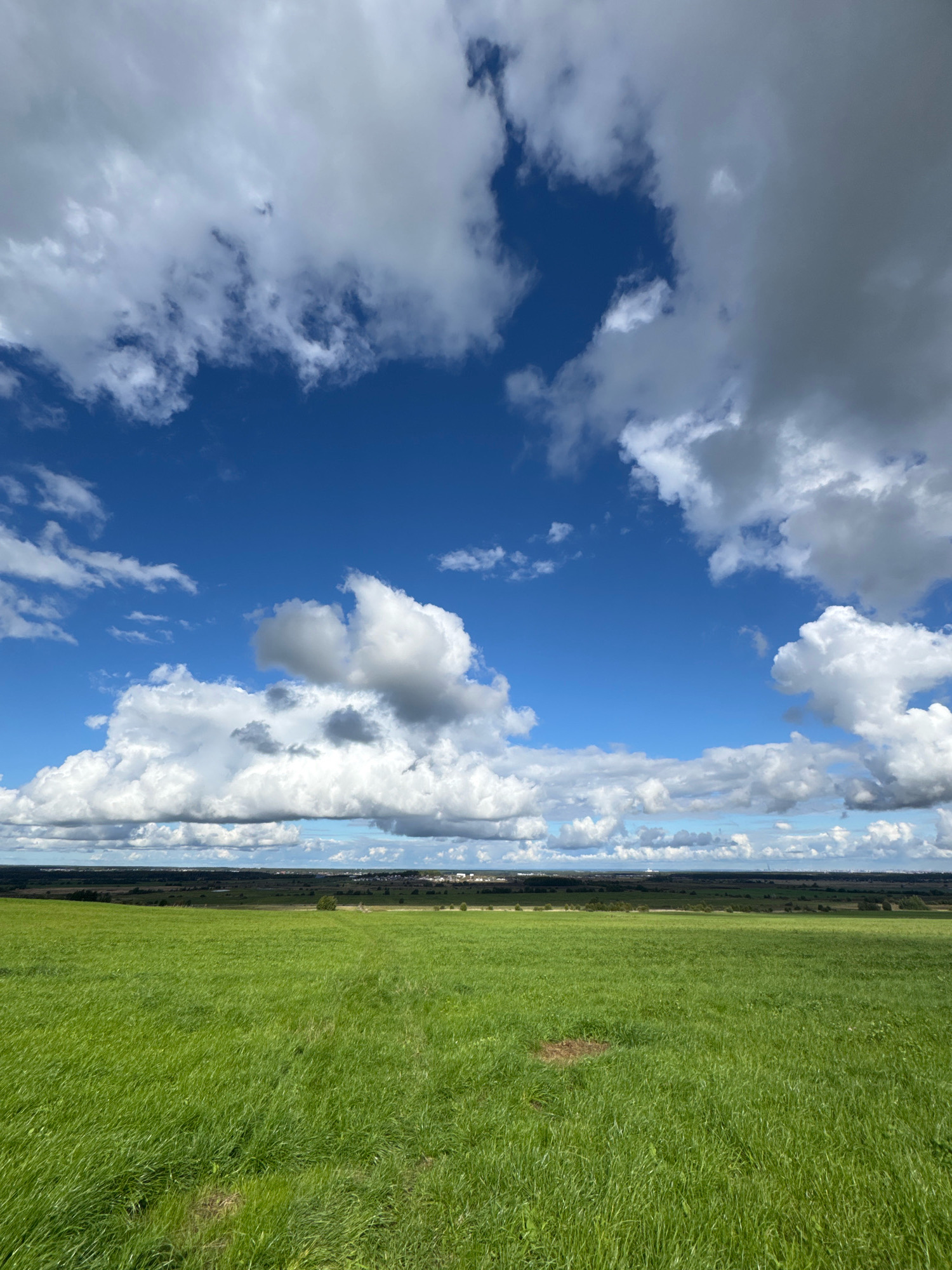 The image depicts a vast, green field in Kaporskoe, Russia, under a dramatic sky filled with white and gray clouds against a vibrant blue backdrop. The foreground is dominated by lush, green grass, showing signs of being recently mowed or naturally tall, with some patches of dry earth visible. In the middle ground, a dark treeline separates the field from a distant horizon, where a scattering of buildings and structures can be faintly observed, suggesting a settlement or town. The sky is a prominent feature, with large, cumulus clouds casting shadows and creating a sense of depth and movement, indicating a dynamic weather system. There are no people or animals visible in the frame. The overall scene is one of rural tranquility and natural beauty, typical of the Russian countryside during fair weather.