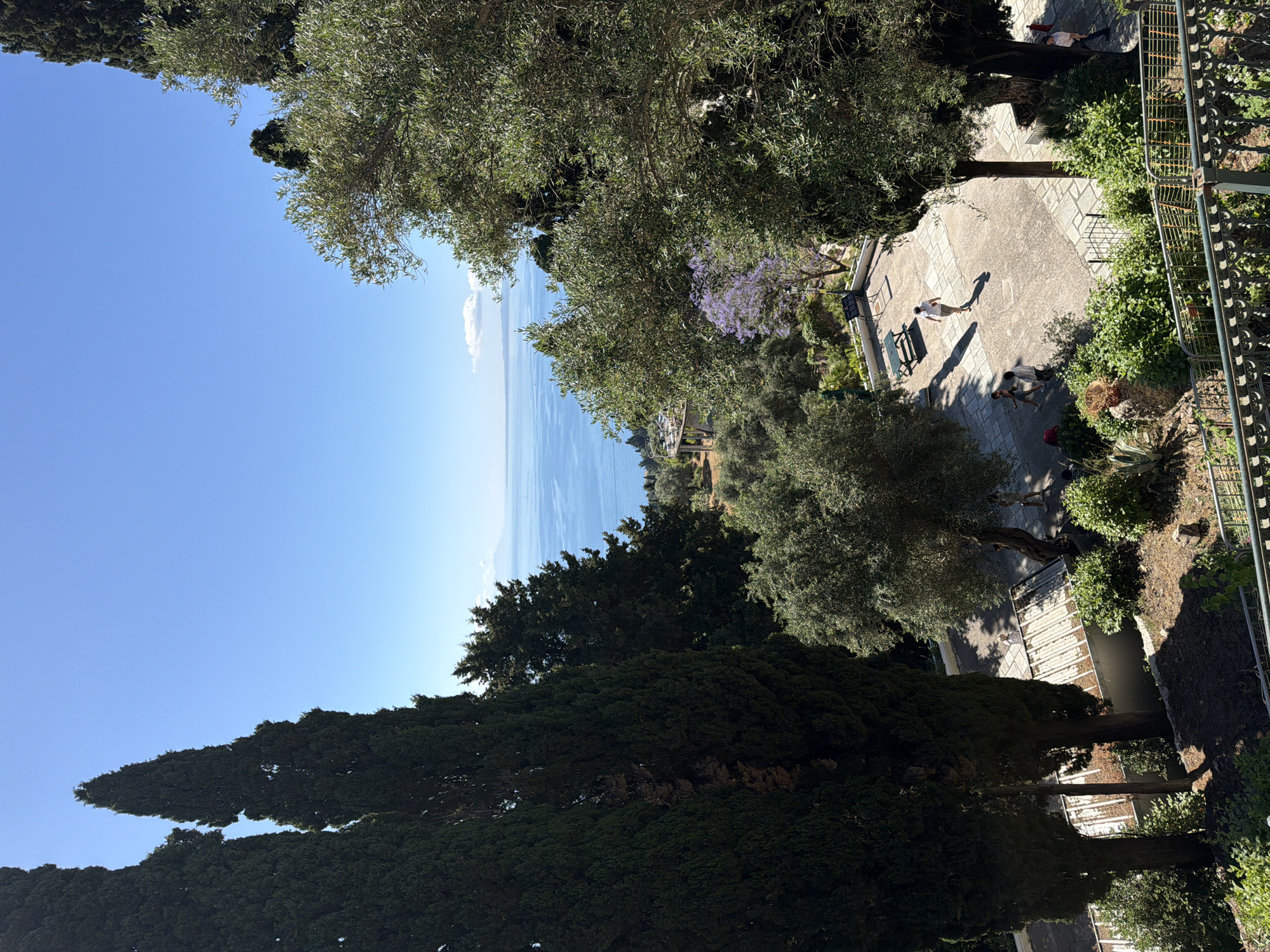 This media file captures an outdoor park or garden area overlooking the sea, likely in Gastouri, Greece, as indicated by the context. The image is taken from an elevated perspective, looking down and out towards the horizon.
**Subjects:**
The scene features several natural and human elements. Dominant are various trees, including tall, dark green conifers on the lower and left side, and lighter-foliaged olive trees scattered throughout the middle and upper parts of the image. A striking tree with vibrant purple blossoms is visible in the middle-right. Lush green bushes and ground cover delineate the edges of a paved area. In this paved section, several people are present: one person in a light t-shirt and trousers walks across the path, casting a long shadow; another person in a dark top and light trousers walks in the opposite direction; a third person is seated on a park bench; and a fourth individual stands near a metal railing on the far right. The railing itself is an intricate metal structure. In the distance, the vast blue sea meets the horizon under a clear sky.
**Activity or event taking place:**
The people in the park appear to be engaged in leisurely activities, either strolling along the paved paths or resting on a bench, enjoying the sunny day and the scenic views.
**Notable details:**
The time of day is characterized by bright sunlight, indicated by the vivid colors and the long shadows cast by people and trees, suggesting either early morning or late afternoon. The weather is clear and pleasant, with a brilliant blue sky and only a solitary, small white cloud visible far out over the sea. The paved ground consists of irregular, light-colored flagstones forming a decorative pattern. Below the paved area and railing on the right, a shaded section reveals dense foliage and a glimpse of a dark body of water, possibly a pond or pool. The overall atmosphere appears peaceful and serene, typical of a Mediterranean garden setting.
**Visible text:**
There is no clearly discernible text visible in the image.