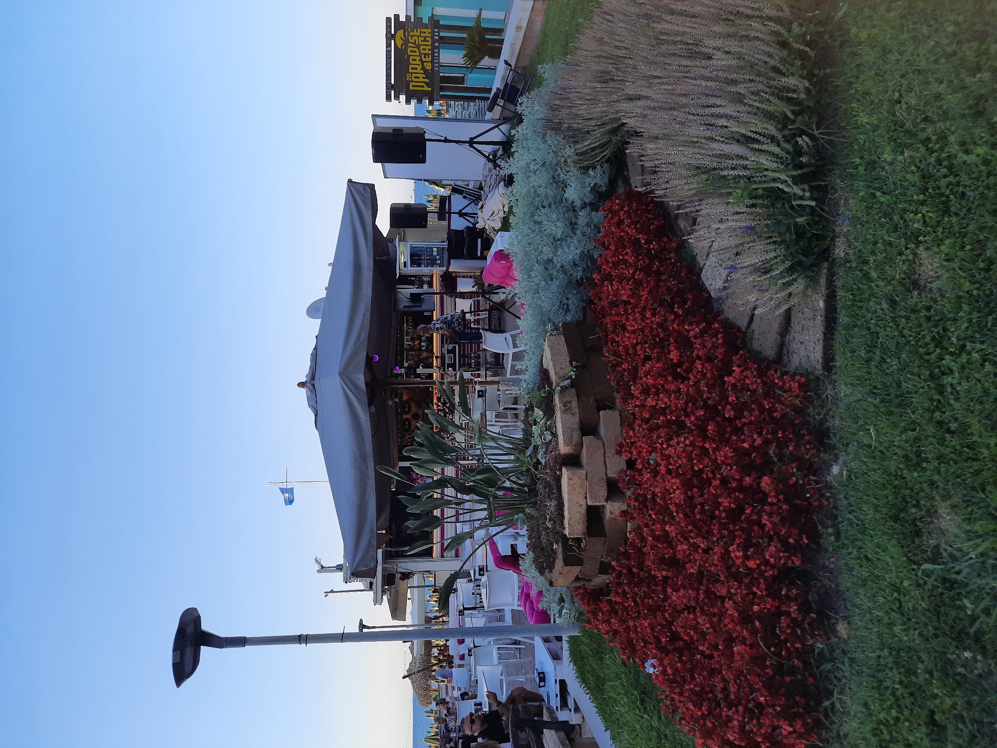 The image depicts a beachside establishment named "Paradise Beach Cocina & Bar" in Pesaro, Italy, during what appears to be late afternoon or early evening, given the clear sky and soft lighting. The foreground is dominated by a manicured garden featuring a tiered planter constructed from bricks, filled with a variety of plants. Lush red flowers form a dense carpet in front, followed by silvery-green foliage, and then tall, slender purple-hued plants.
Behind the garden, a covered outdoor seating area with white tables and chairs is visible, suggesting a dining or lounging space. A prominent bar with a gray canopy is the focal point of the establishment, with people visible working or socializing inside and around it. To the right of the bar, a sign reads "20 Paradise Beach Cocina & Bar." Further back, beach umbrellas and chairs are arranged on the sand, with the sea and a clear blue sky in the distance. A tall lamp post stands to the left of the scene, casting a slight shadow. The overall atmosphere is relaxed and inviting, characteristic of a beachfront leisure venue.
