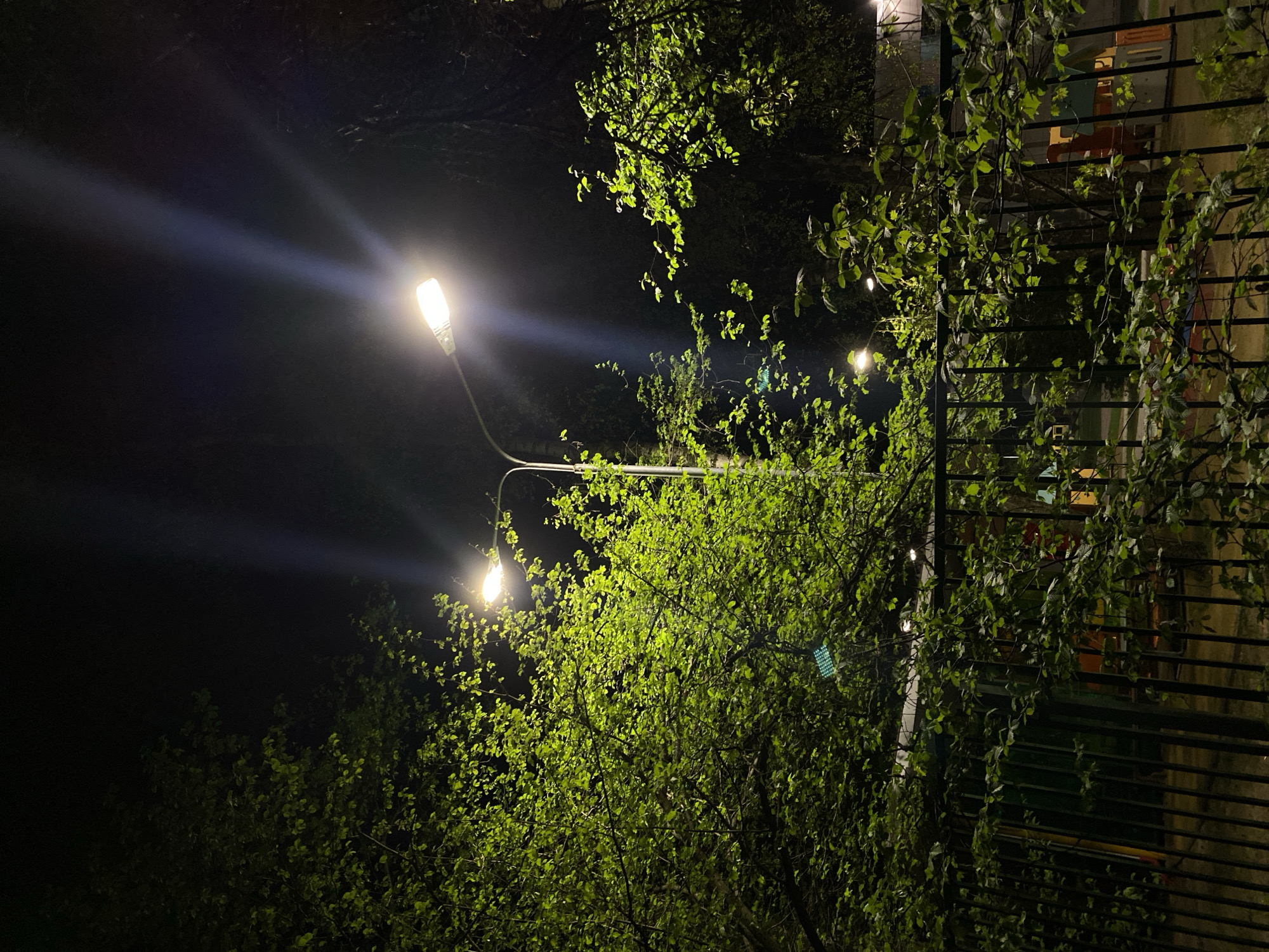 At night in an unknown location, a street lamp with two illuminated lights stands amidst trees with vibrant green leaves. To the right of the trees, there is a fence with a building in the background. The environment is dark, with the street lamps being the main source of light.