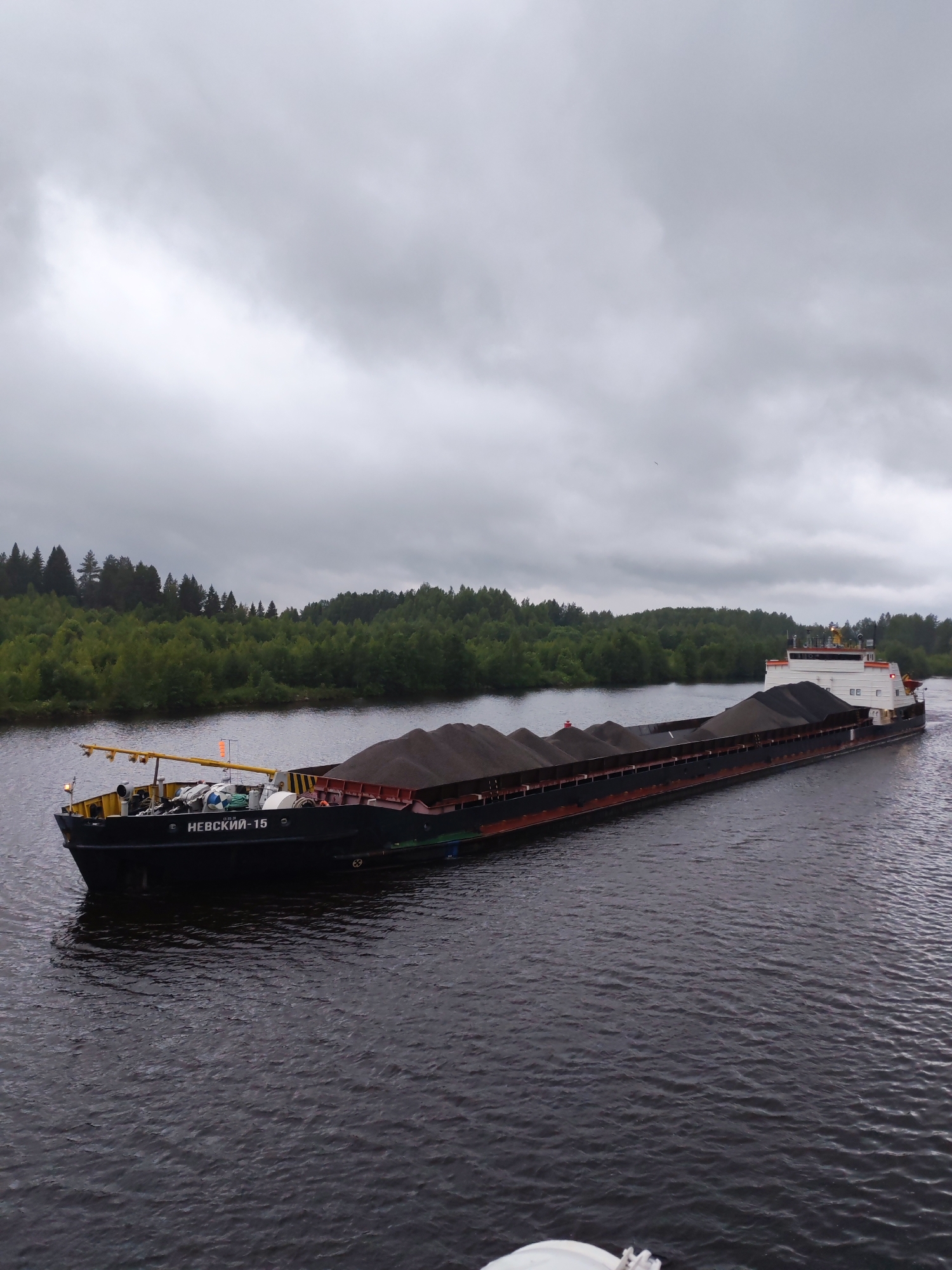 A barge filled with dark material, likely coal or sand, is seen navigating a wide, dark river under an overcast sky. The barge, named "НЕВСКИЙ-15" in Cyrillic lettering, has a black hull with a red waterline and a white superstructure at the rear. The cargo is piled high in the barge's open holds, creating a textured, mountainous appearance. Along the riverbanks, dense green trees form a natural border. The water's surface is choppy, indicating a gentle current or wind. The overall scene is one of industrial transport against a natural, muted landscape. The location is identified as the city of Alekseevskoe, Russia. There are no people visible in the image.
