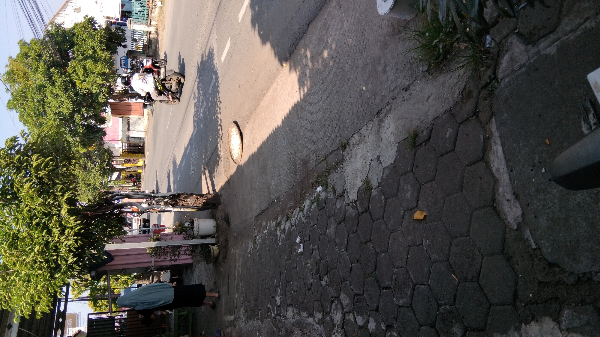 The image depicts a street scene in Proyonanggan Tengah, Indonesia, on a sunny day with shadows cast from trees onto the road and sidewalk. In the foreground, a hexagonal brick-paved sidewalk lines the left side of the frame. Further up the sidewalk, a person wearing a light blue hijab and a black long-sleeved garment stands next to a pink and metal structure, holding a dark object. A white pot with a plant is visible near the pink structure. Adjacent to the sidewalk is a paved road with white lane markings. A person on a red motorcycle, wearing a white shirt and a helmet, is riding away from the camera down the road. Another motorcycle is parked further down the road. In the background, buildings with white and pink facades are visible, along with trees and utility poles with many wires. A circular, woven mat lies on the paved road, partially in shadow. The overall environment suggests a moderately busy urban or suburban street.