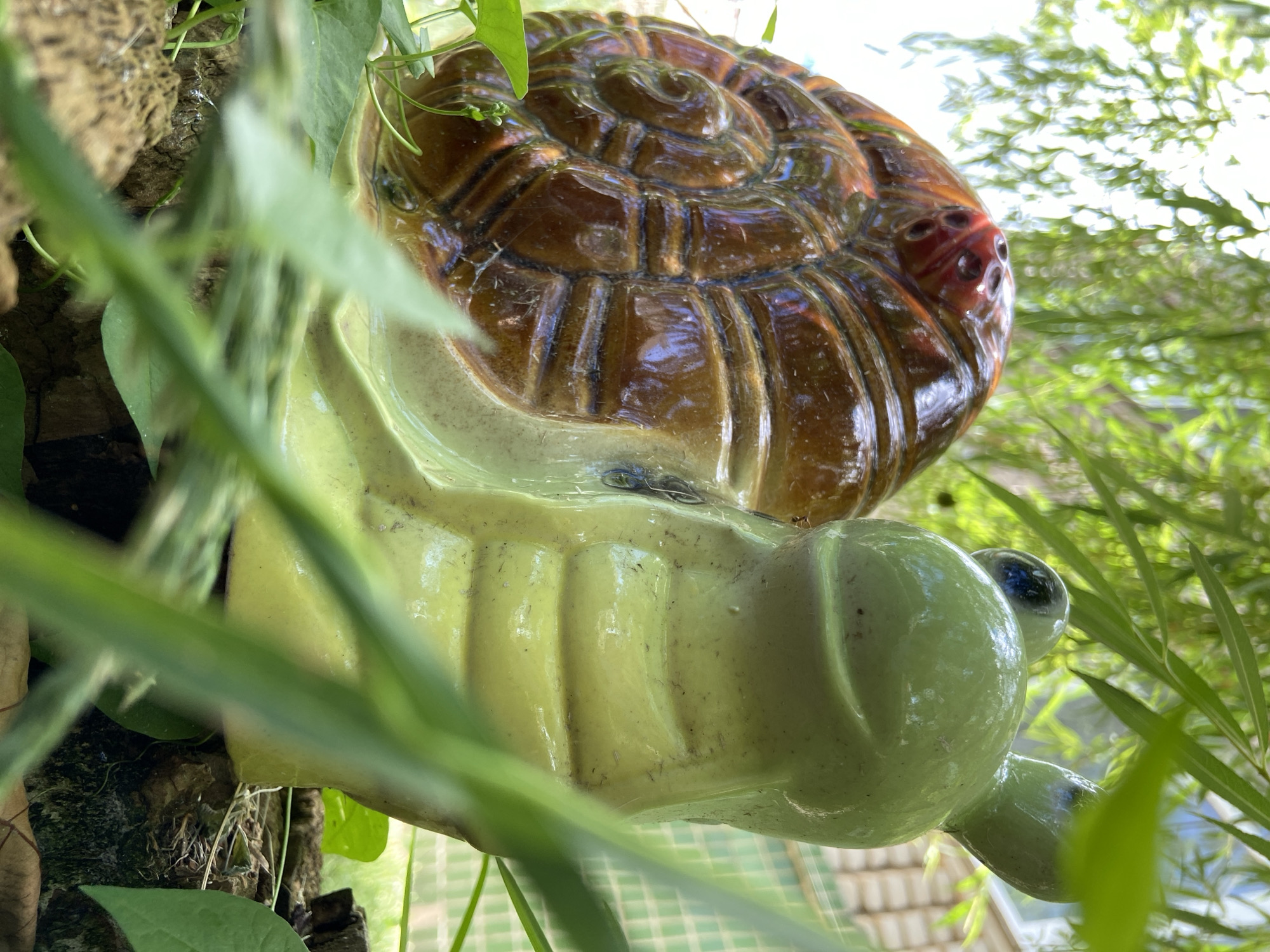 A ceramic garden snail statue is positioned outdoors, nestled amongst foliage and on a rough, bark-like surface. The snail has a brown, spiraled shell and a light green body. Its eyes are black dots. The background shows green leaves, some blurred, and hints of a building with a checkered pattern. The lighting suggests it is daytime. The statue is the sole subject of the image, with no people or animals present. The location is unspecified.