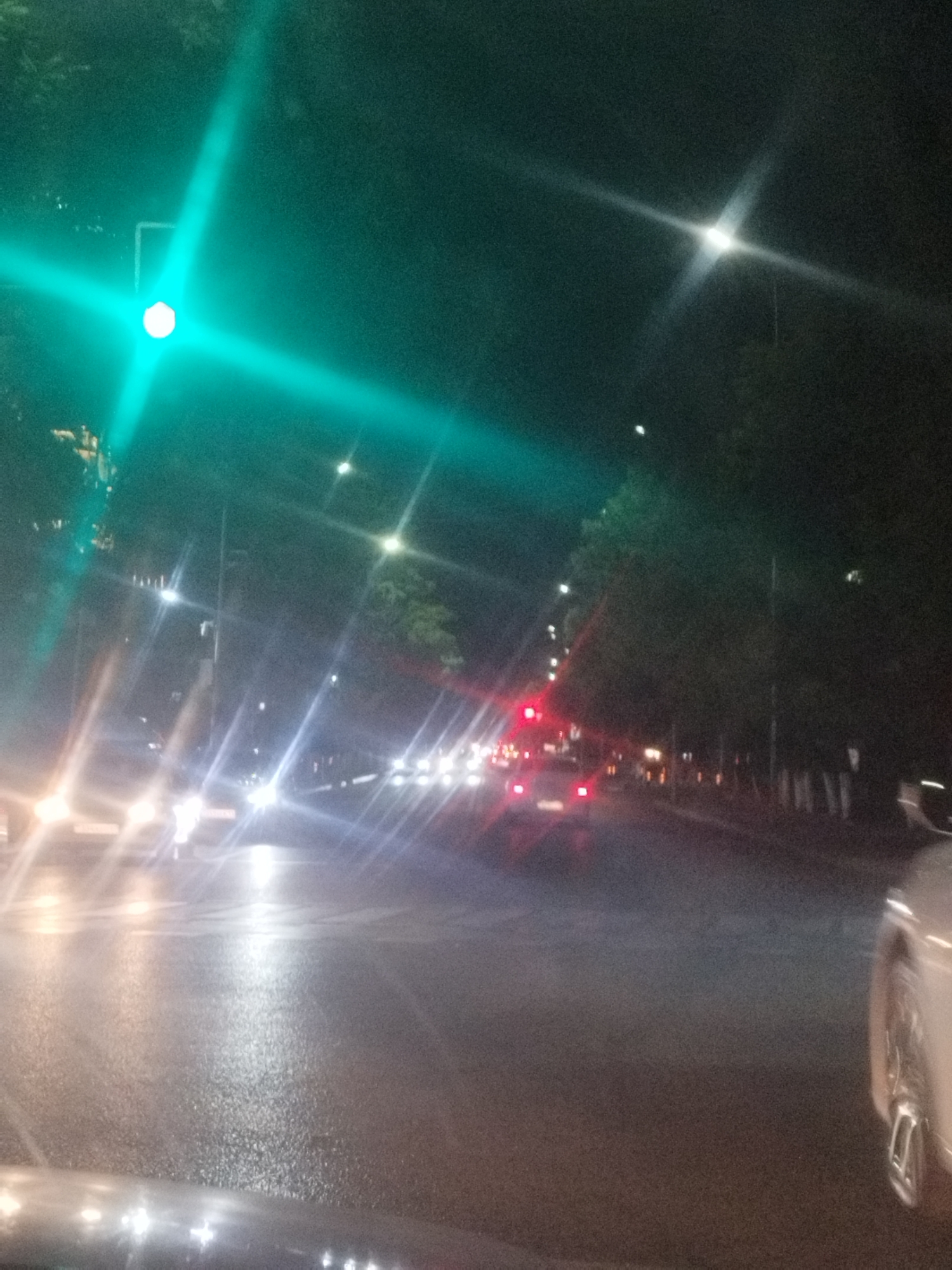 The image captures a nighttime scene on a city street, likely in Shymkent, Kazakhstan, indicated by the prominent green traffic light in the upper left quadrant. The traffic light is illuminated, casting a vibrant green glow that refracts and creates a starburst effect. The street is wet, reflecting the lights of passing vehicles and streetlights, suggesting recent rain or damp conditions. Several cars are visible on the road, their headlights and taillights creating streaks of light due to motion blur and the long exposure. Trees line the right side of the street, their dark silhouettes partially illuminated by the artificial lights. In the far right of the image, a portion of a silver car, including its wheel, is visible, suggesting the viewpoint is from within a moving vehicle. The overall atmosphere is one of urban night activity, with a focus on the interplay of light and shadow on a wet roadway.