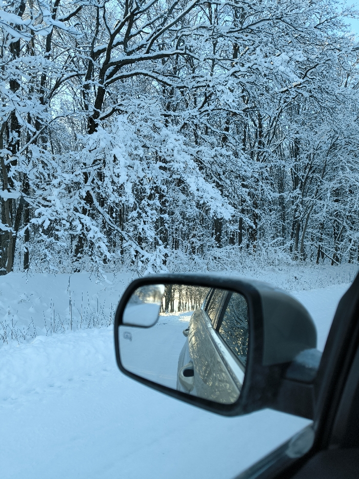 A view from inside a car shows a winter landscape. Snow-covered trees fill the background. The side mirror reflects a snowy road with trees, suggesting the car is moving or parked on a road. The scene is bathed in cool, bluish light, typical of winter days. The mirror and car interior are in sharp focus, while the background is slightly blurred.