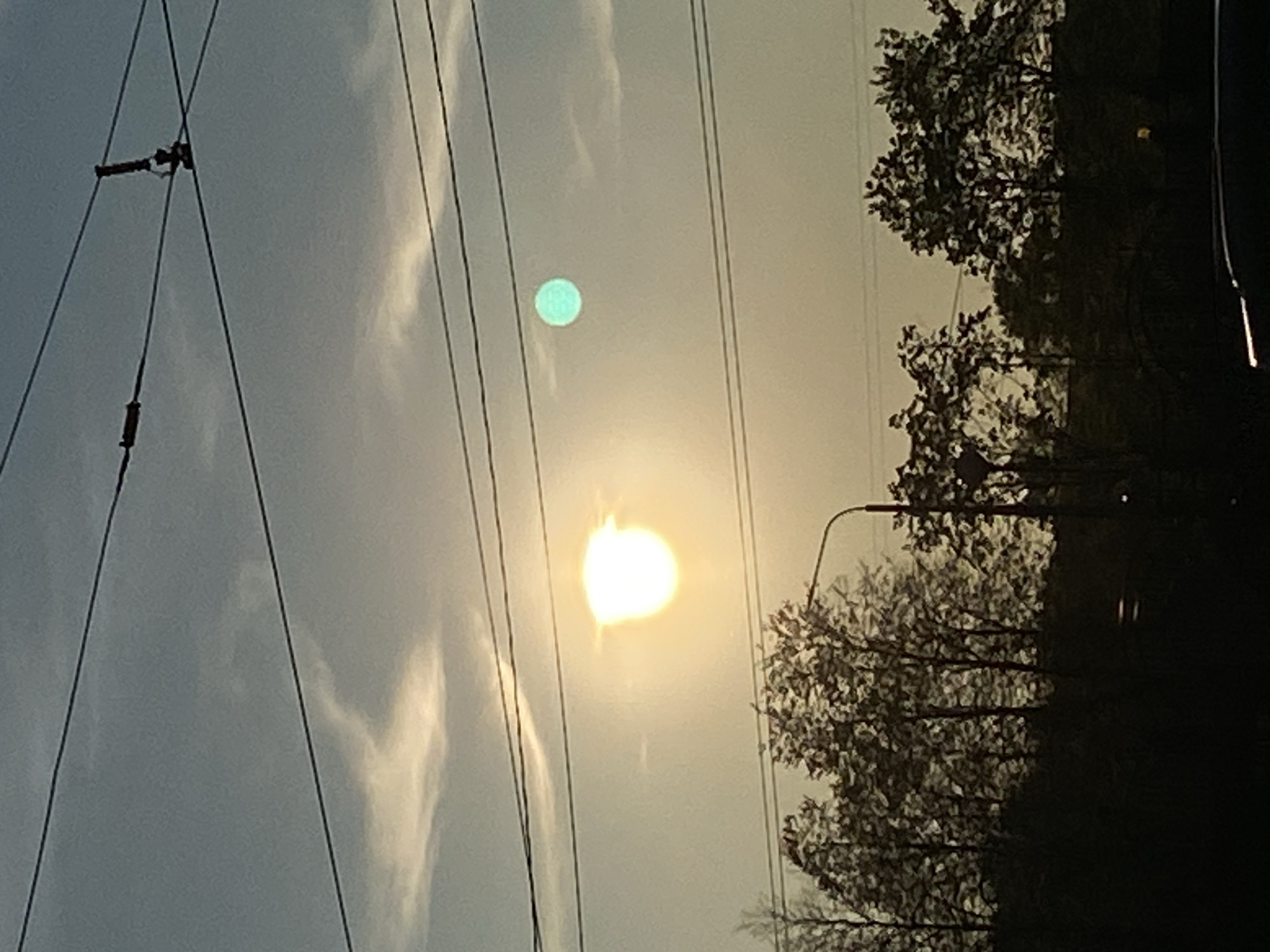 The image shows a view towards the sky with utility wires in the foreground. The sky is overcast and a bright light, possibly the sun, is visible. There is also a smaller, green circular shape in the sky above the bright light. Trees are silhouetted on the right side of the frame. The exact location in Saint Petersburg, Russia cannot be determined from the visual information provided. There are no people visible.
