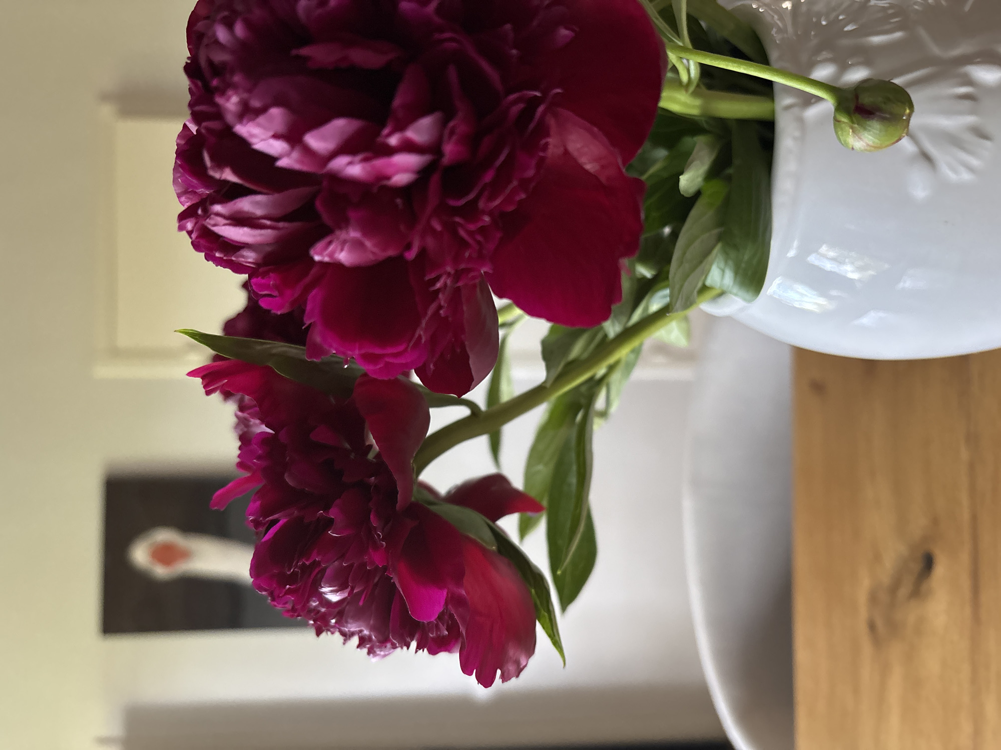 A close-up shot focuses on two dark pink peony flowers in a white vase. The flowers are lush and full, with many petals. Green leaves are visible, and a single unopened bud is also present in the vase. The vase is positioned on a wooden surface, likely a table. In the background, a framed artwork with a dark background and a light figure is out of focus. The scene suggests an indoor setting, possibly a home in Chaikovsky, Russia.