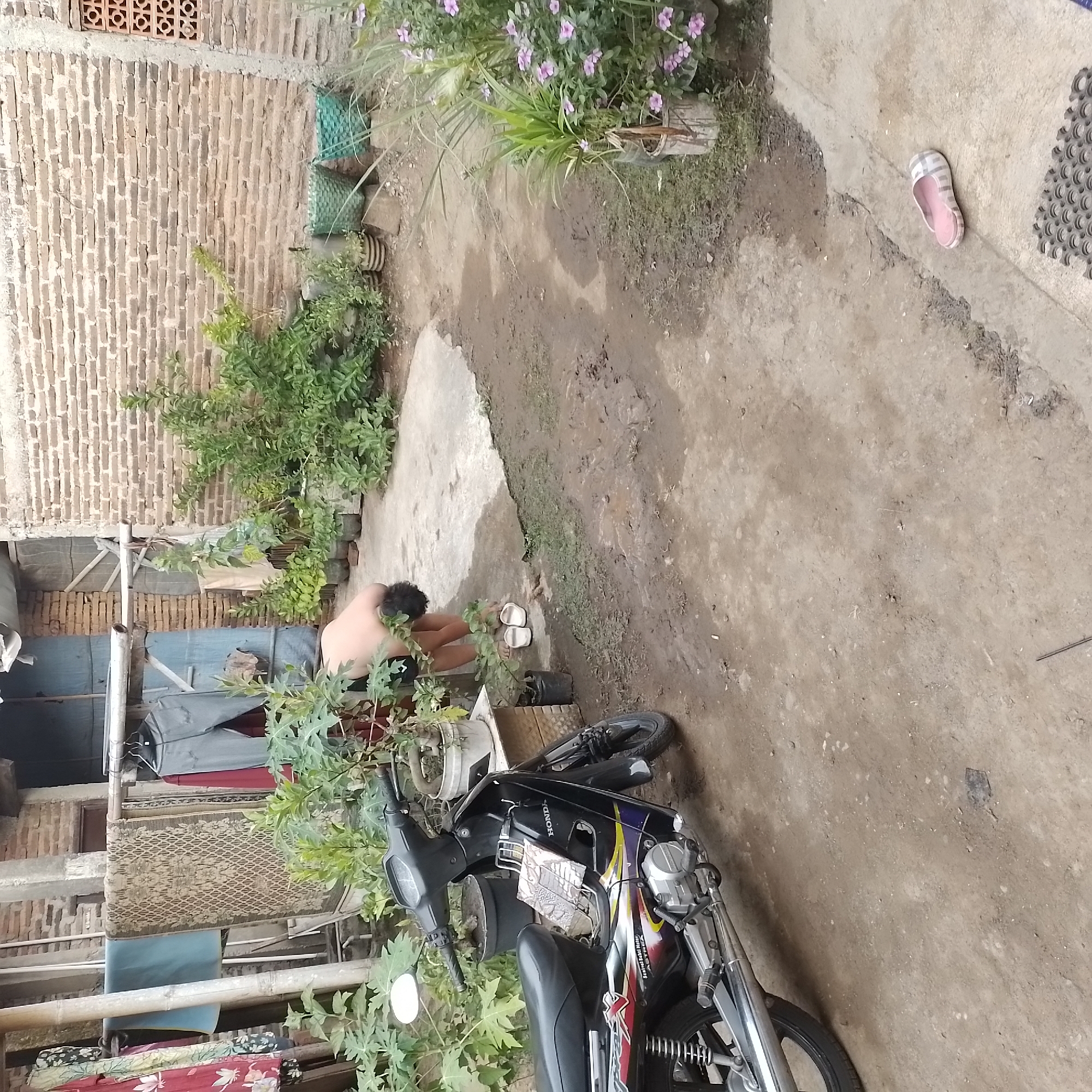 In a rural outdoor setting in Jatisobo, Indonesia, a person is seen from behind, bent over and reaching towards the ground. The individual is wearing dark shorts. Adjacent to them are a pair of white flip-flops. The ground is a mix of dirt and concrete. To the left, a black motorcycle is parked, facing towards the left of the frame, with its front wheel visible. Behind the motorcycle and the person, a brick building is visible. Clothes are hanging on a rack supported by bamboo poles. Plants in pots are scattered around the scene, with one particularly lush plant with purple flowers on the right. The overall environment appears to be a residential or yard area.