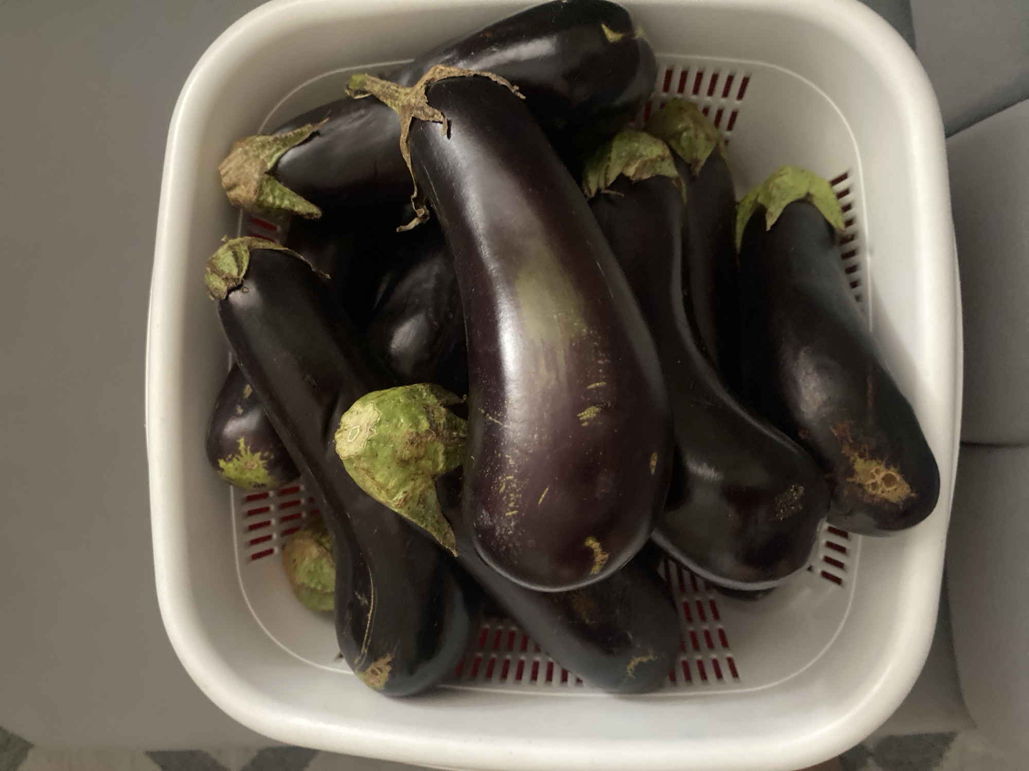 A high-angle shot shows a white colander filled with eggplants. The eggplants are dark purple and have green stems. They are arranged in a pile within the colander, with some of them overlapping. The colander is sitting on a gray surface. The background is blurred, but appears to be a domestic setting. There are no people in the image. The scene is static and there is no action taking place. The lighting is even and natural. The image is in focus and the details are sharp. The color palette is dominated by dark purples and greens, with a contrasting white colander.