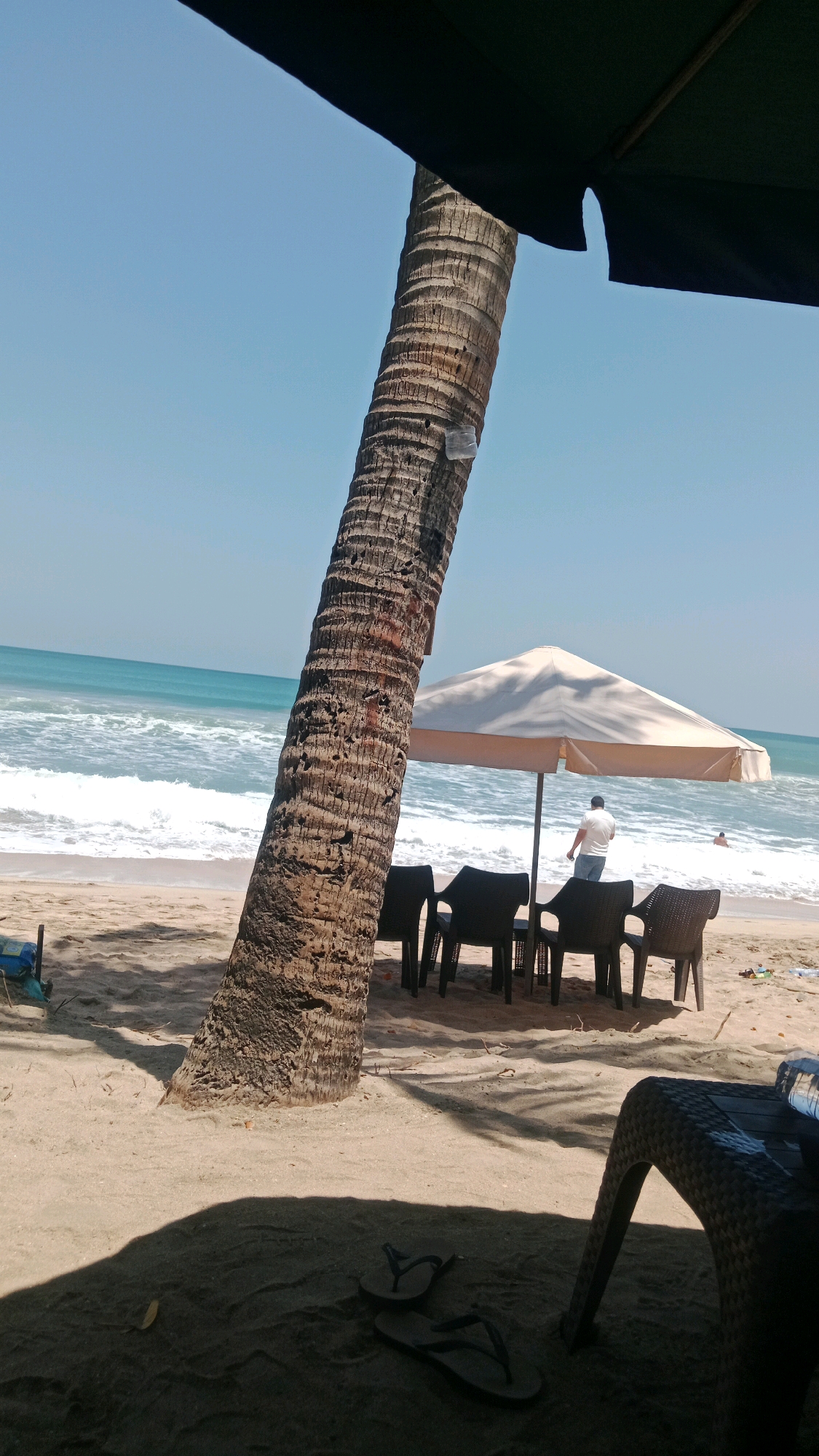 This is a medium-shot, natural light image of a beach in Kuta, Indonesia. The scene is dominated by a large, textured palm tree trunk in the foreground, leaning to the left. In the midground, there is a beach umbrella providing shade over a table with four dark chairs. A person in a white shirt and dark pants stands near the table, facing the ocean. The ocean is visible in the background, with gentle waves breaking on the shore. The sand is light brown. In the foreground, a pair of dark flip-flops lies on the sand under the shade of an unseen object, likely another umbrella. The sky is clear and blue.