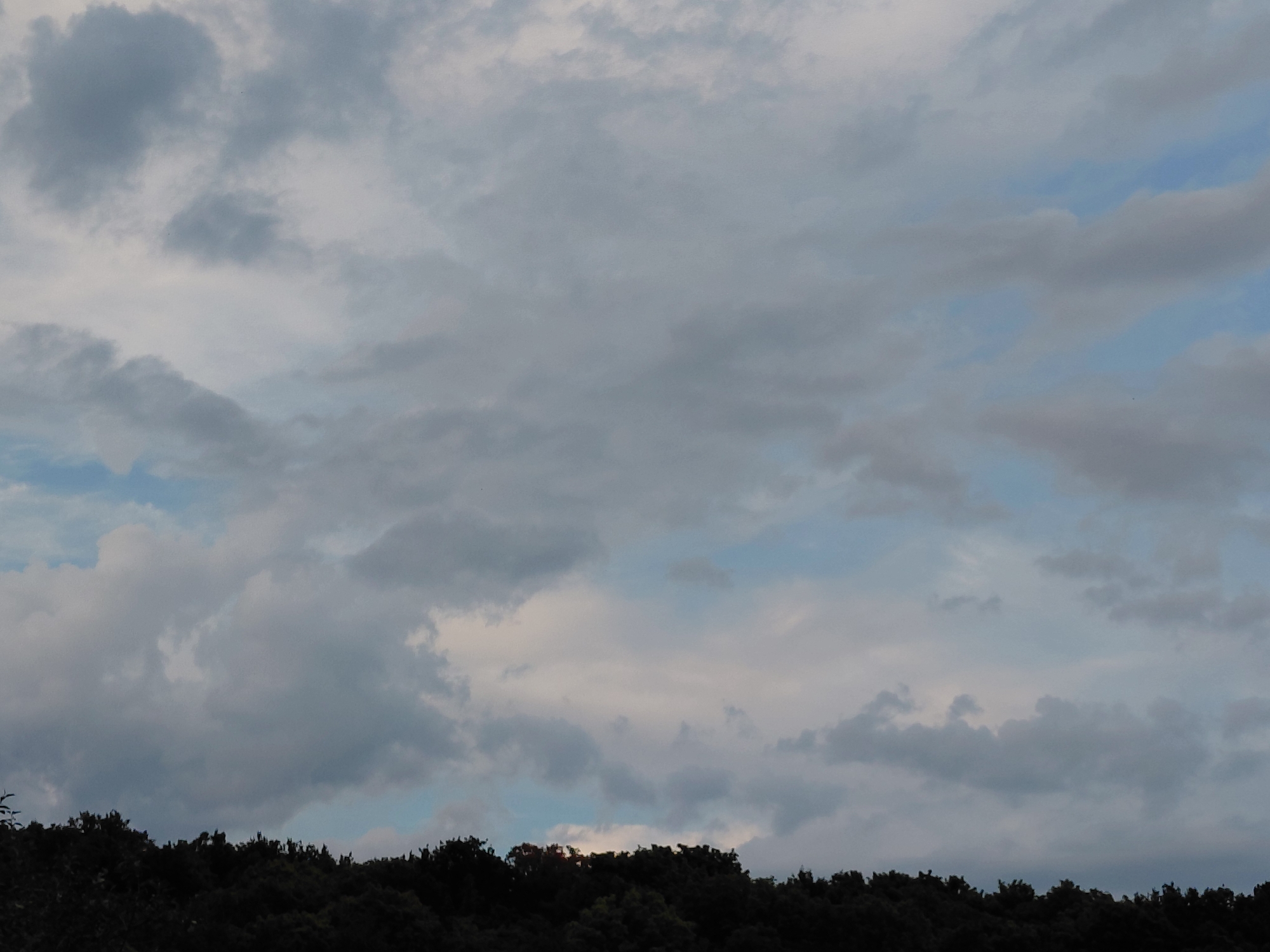 A view from Verhnyaya Podstyopnovka, Russia, captures a cloudy sky above a dense, dark tree line. The clouds are a mix of gray and white, with patches of blue sky visible between them. The trees are silhouetted against the lighter sky, creating a dark band across the bottom of the image. No people, actions, or specific objects are discernible.