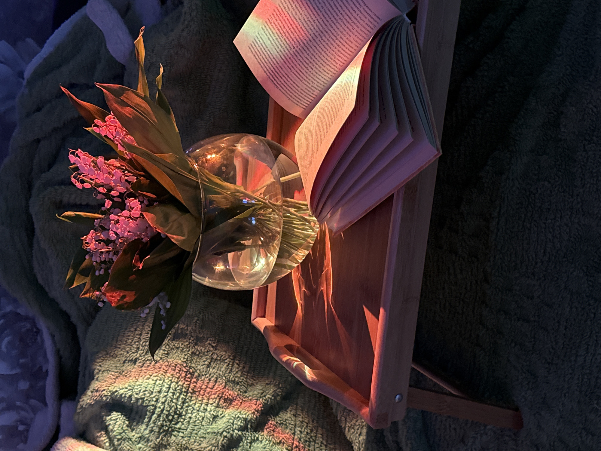 A top-down, dimly lit shot depicts a book and flowers on a wooden tray, likely indoors. The tray rests on a surface with a green, textured blanket. A clear glass vase holds a bouquet of lily-of-the-valley with green leaves. An open book leans against the tray with pages fanned open. The lighting is uneven with a red-pink hue illuminating the pages and parts of the tray, while the rest of the scene is in deeper shadows. The text on the book pages is blurred. The location is a city and area that is unspecified in the photo.