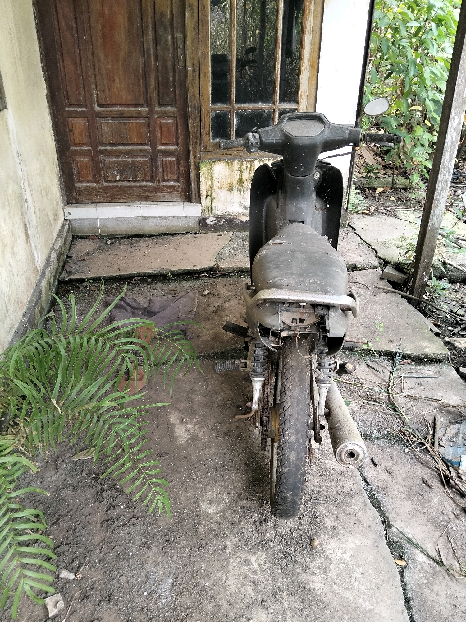 In the city of Arang Limbung, Indonesia, a weathered, dark-colored motorcycle is parked on a cracked concrete surface outside a building. The motorcycle, which appears to be a Yamaha, is facing away from the viewer. Its rear tire is visible, along with the exhaust pipe. To the left of the motorcycle is a lush green fern plant, and behind it, a portion of a brown wooden door and a window can be seen. The environment appears somewhat neglected, with loose debris and vegetation around.
