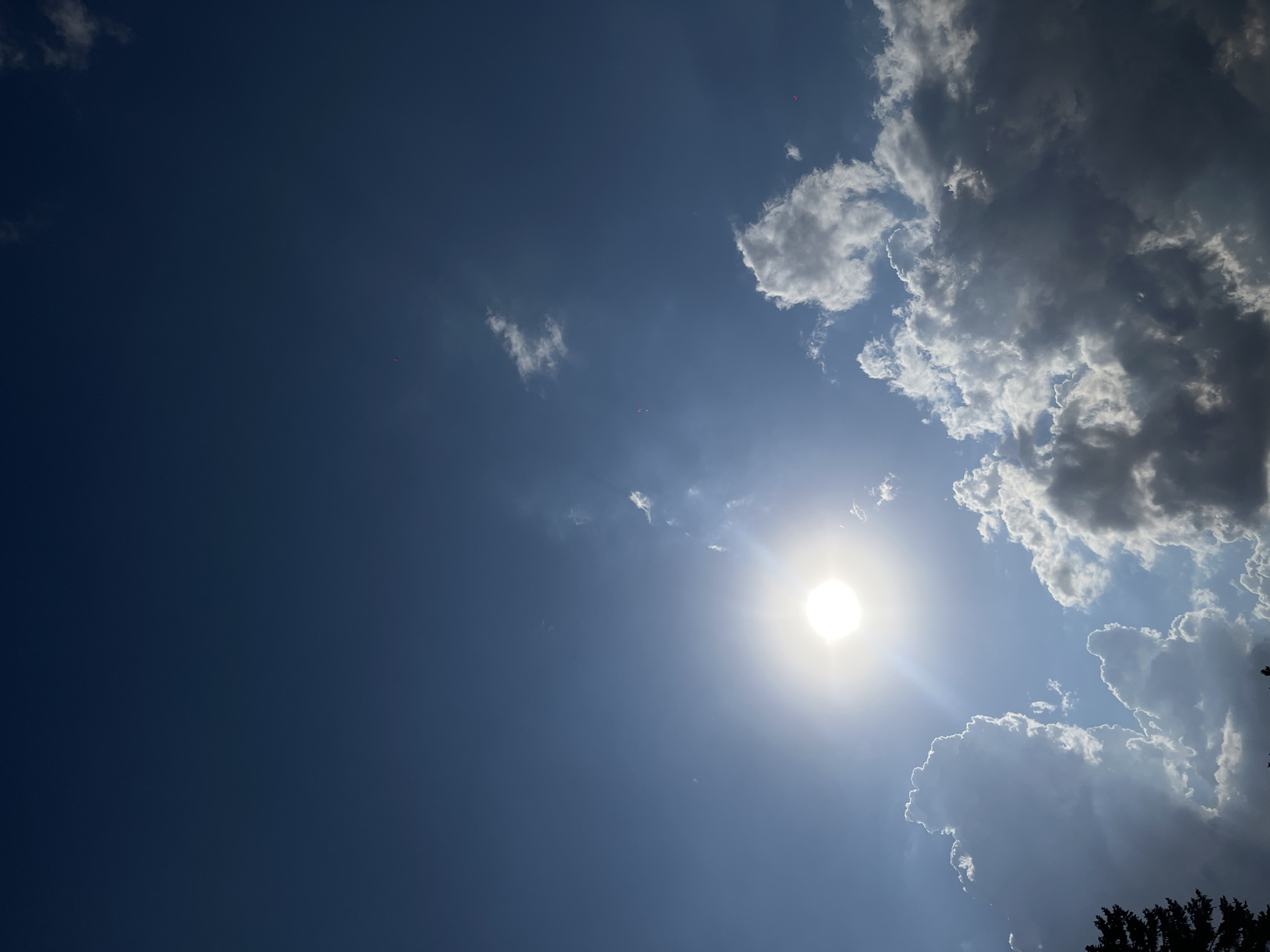 A bright sun shines in a blue sky dotted with fluffy white and dark grey clouds. The sun is in the lower left quadrant of the image, its light creating a lens flare. The clouds are clustered in the lower half of the image, with some appearing dark and heavy, possibly indicating impending rain, while others are illuminated by the sun. A sliver of a dark tree is visible in the far lower left corner. There are no people or specific objects identifiable within the scene that would suggest a particular location in Novopokrovskaya, Russia, beyond the general observation of a sky with clouds and sun.