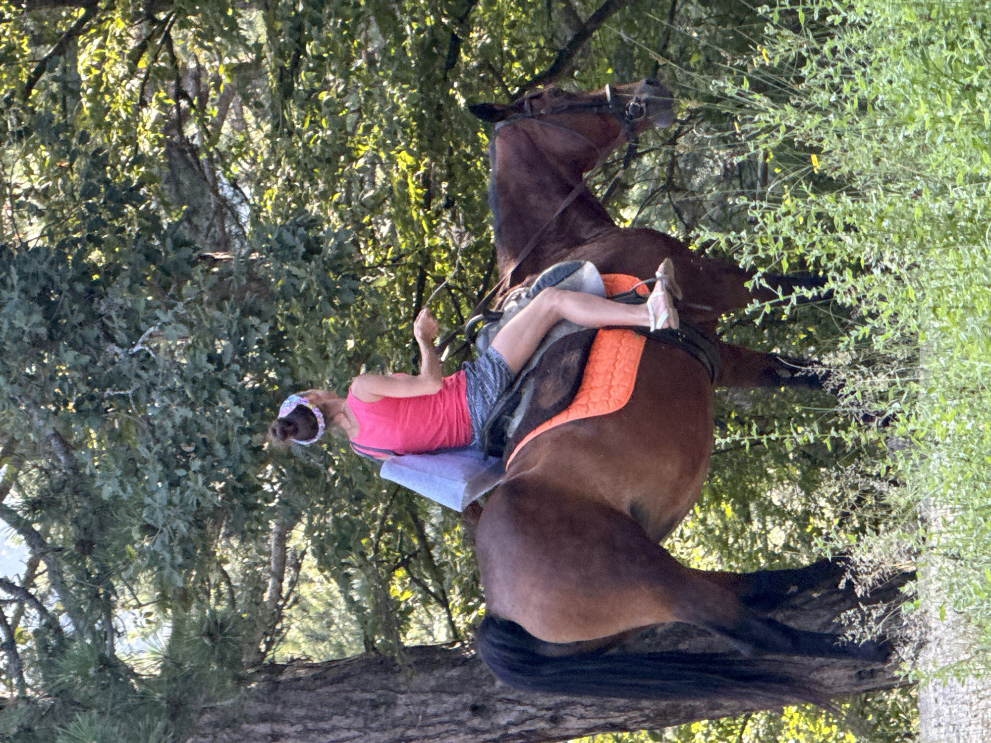 A person rides a brown horse through a wooded area. The person is wearing a pink tank top, patterned shorts, and a headband. They are carrying a light blue bag over their shoulder. The horse is equipped with a saddle and an orange saddle pad. The environment consists of trees, foliage, and a pathway. The image appears to be taken in Zaprudnoe, Ukraine.