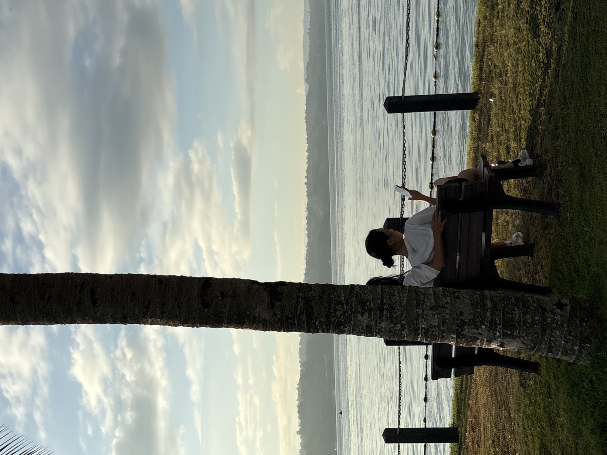 The image depicts a serene waterside scene at dawn in Davao City, Philippines, likely at the Davao shoreline or a park bordering the Davao Gulf. A tall, textured palm tree trunk dominates the foreground on the left, its rough bark contrasting with the softer elements of the scene. Seated on a dark wooden bench under the tree's shade are two individuals, viewed from behind. The person on the right, in a white t-shirt and shorts, is holding a smartphone and appears to be engaged with it. The second person, slightly behind and to the left, is partially obscured, wearing a white t-shirt and visible arms suggest they are also seated.
Behind the bench, a calm body of water stretches towards a distant, tree-covered shoreline. The water's surface reflects the pale light of the early morning sky, which is a canvas of soft blues and scattered white clouds. A chain fence with dark posts and floating yellow markers delineates the edge of the water from the grassy area where the bench is situated. The grass itself is lush and green, with dappled sunlight creating shadows, indicating the sun is low in the sky. The overall atmosphere is peaceful and tranquil, suggesting a quiet start to the day.