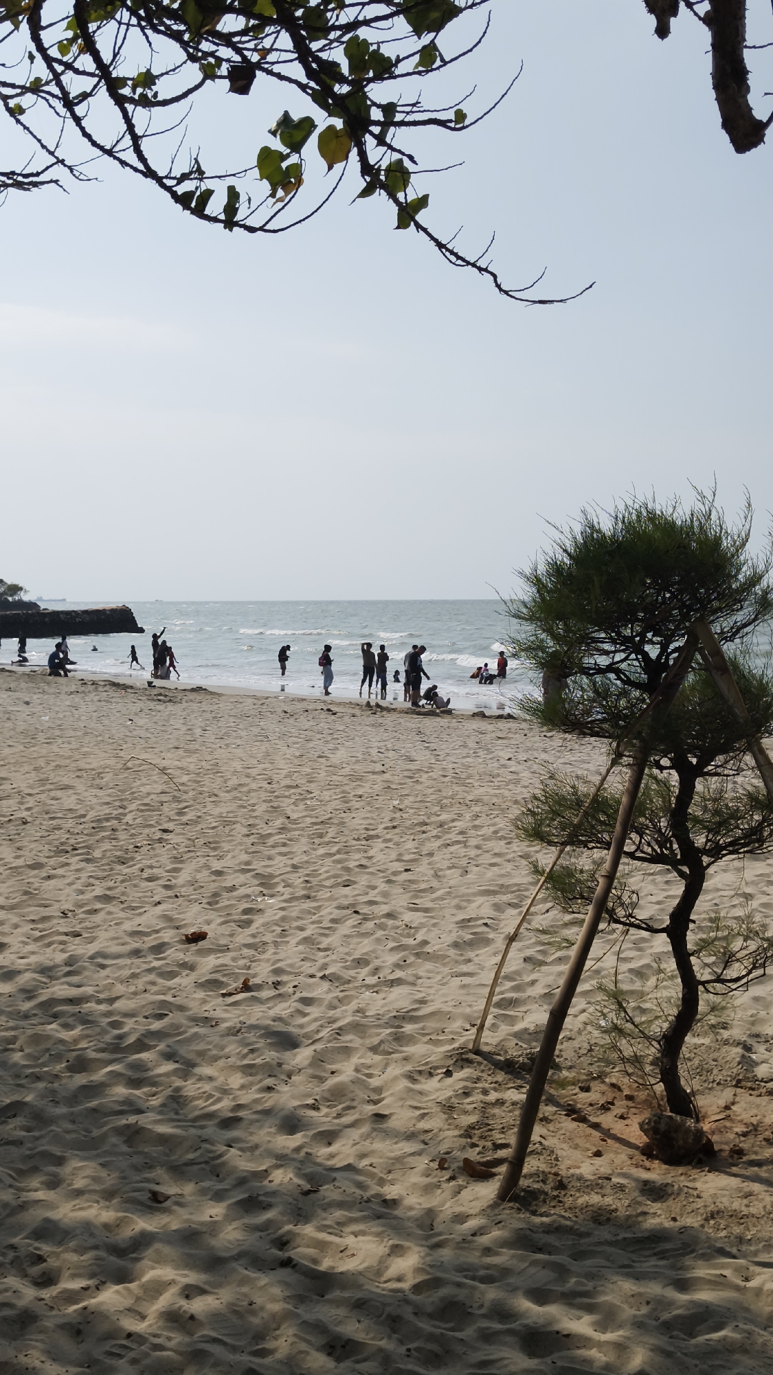 The image depicts a bright, sunny day at Dalegan Beach in Indonesia, a popular coastal destination known for its sandy shores and recreational activities. The foreground is dominated by the textured, rippled sand of the beach, with a small, slender tree supported by bamboo poles on the right side. In the midground, a group of people are scattered along the shoreline and in the shallow waters. Some are standing, others are sitting or walking, engaged in various beach activities. The ocean stretches out to the horizon, with gentle waves lapping at the shore under a clear sky. The scene conveys a sense of leisure and a typical day at the beach.