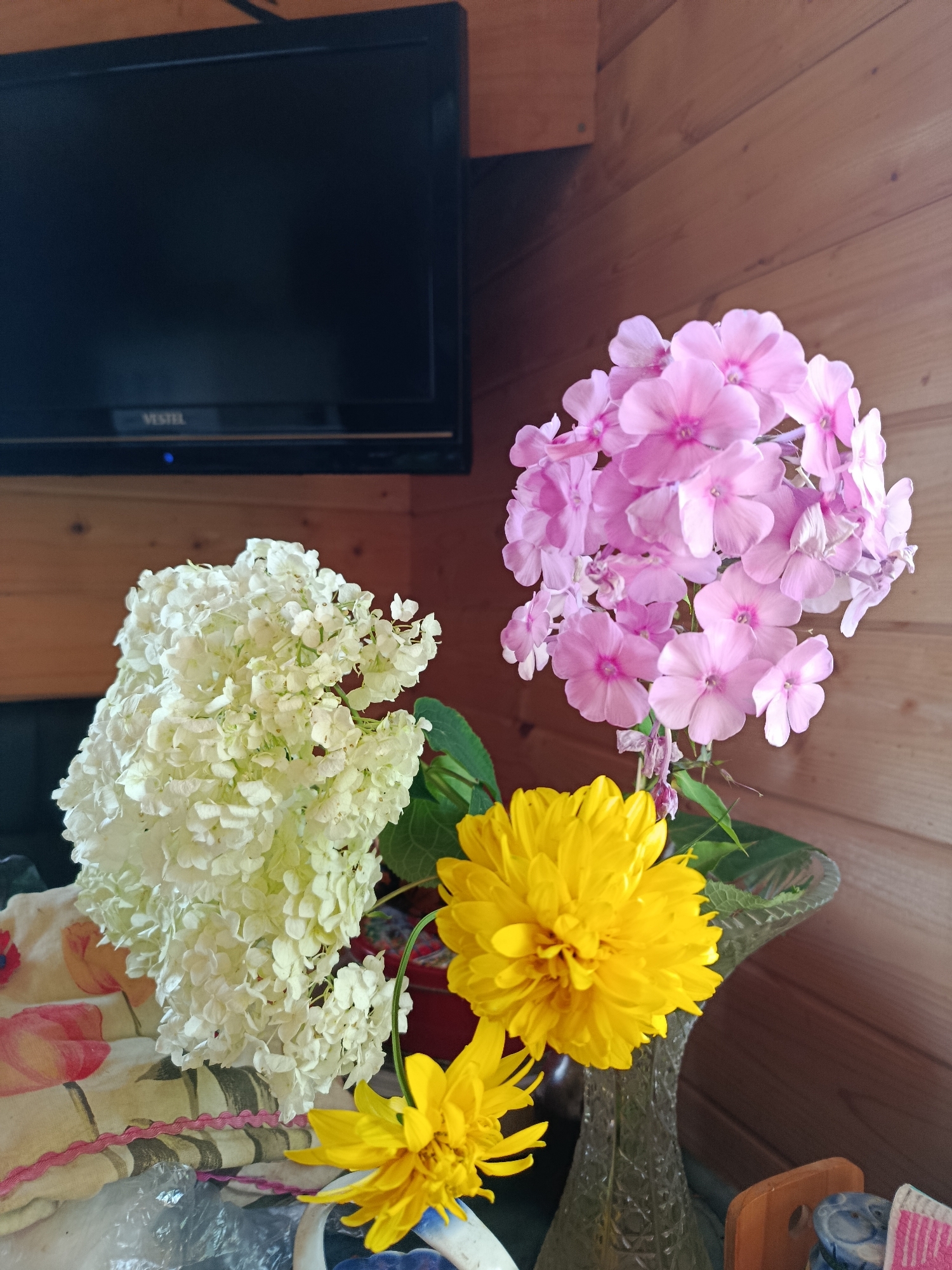 The image shows a still life arrangement of flowers in a glass vase against a wooden wall background. The bouquet features clusters of white hydrangeas, pink phlox, and two yellow double-petaled flowers, possibly rudbeckias. A black flat-screen television with a "Vestel" logo is mounted on the wall above and to the left of the flowers. The wooden wall has horizontal planks. There is a patterned fabric with floral designs visible in the lower left corner. The overall setting appears to be indoors, possibly in a domestic environment in the city of Верея, Russia.