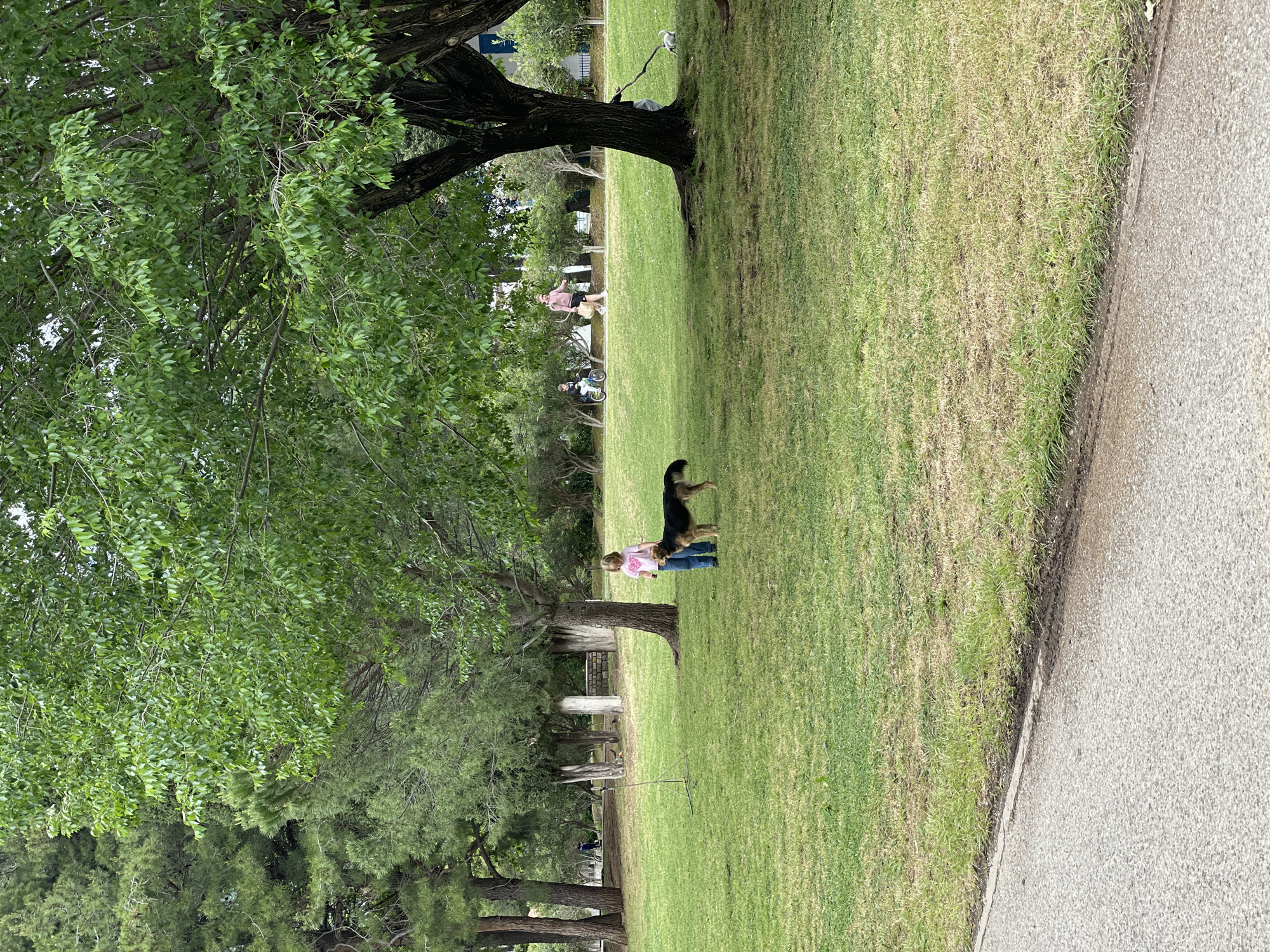 The image depicts an outdoor scene, possibly a park, with grass, trees, and a paved walkway. In the foreground, a person in a pink shirt and blue jeans interacts with a black and tan dog. In the background, other people can be seen under the shade of trees. The location is unknown.