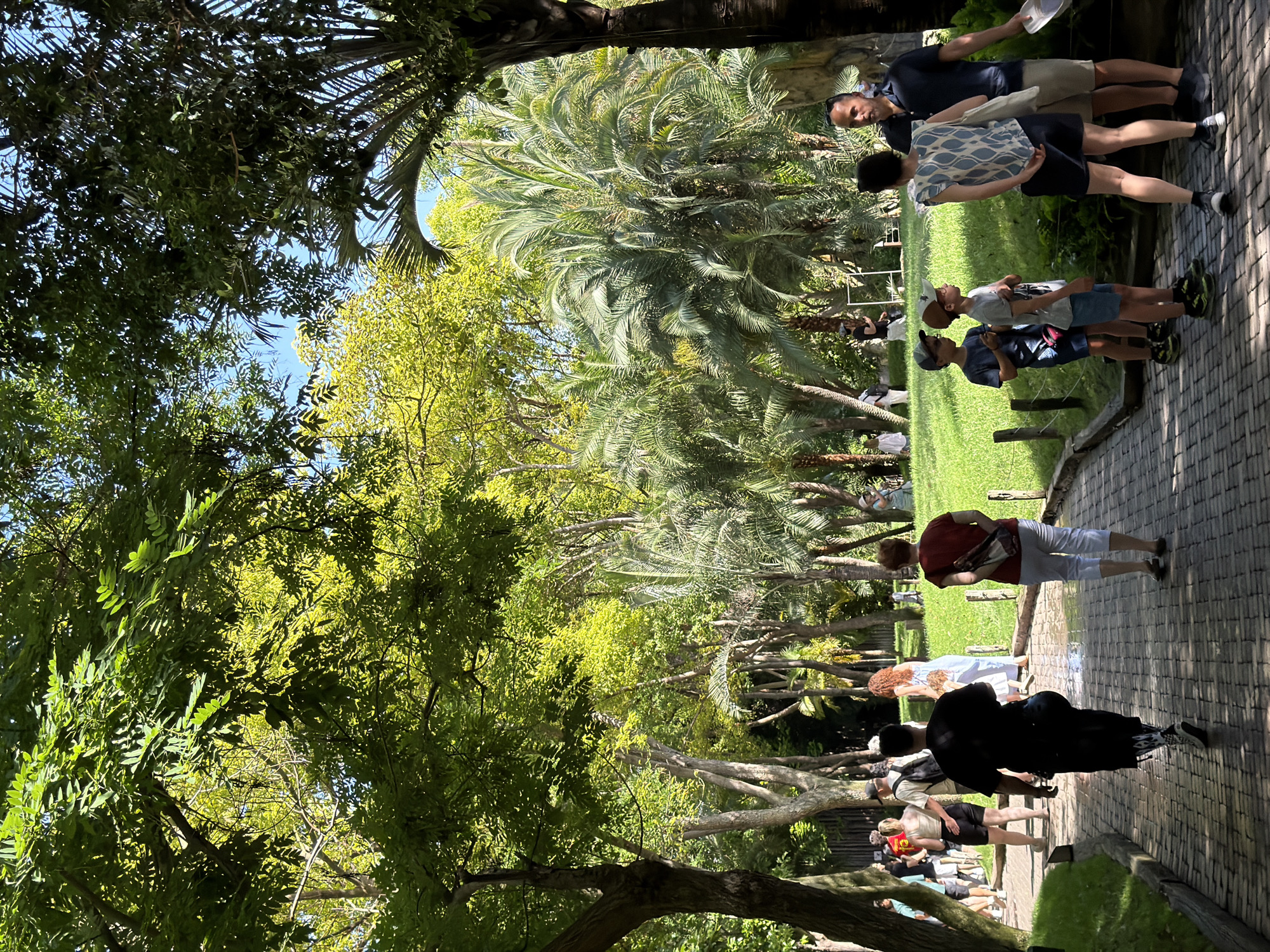 In an outdoor, sun-dappled park setting, several individuals are seen walking and standing along a paved pathway lined with lush green grass and a variety of trees, including palms. The path itself is constructed of dark and light-colored interlocking bricks, with some areas appearing wet, suggesting recent rain or watering.
On the left side of the path, a group of people are walking away from the camera. Among them, a woman with blonde hair is wearing a white top and black shorts, her arm around a man with a backpack. Further ahead, a person in a black t-shirt and patterned pants walks towards the background.
On the right side of the path, closer to the foreground, a woman in a red t-shirt and white capri pants stands with her back to the camera. To her right, a group of three people are conversing: a woman in a patterned blue and white top and dark shorts, a man in a dark blue polo shirt and tan shorts, and two young boys in t-shirts and shorts. One boy is wearing a green baseball cap, and the other a tan cap.
The background is filled with dense foliage, characterized by tall palm trees with characteristic fronds and other leafy trees casting shadows across the scene. The sky is a clear, bright blue. The overall impression is a lively, casual atmosphere within a well-maintained botanical or park environment.