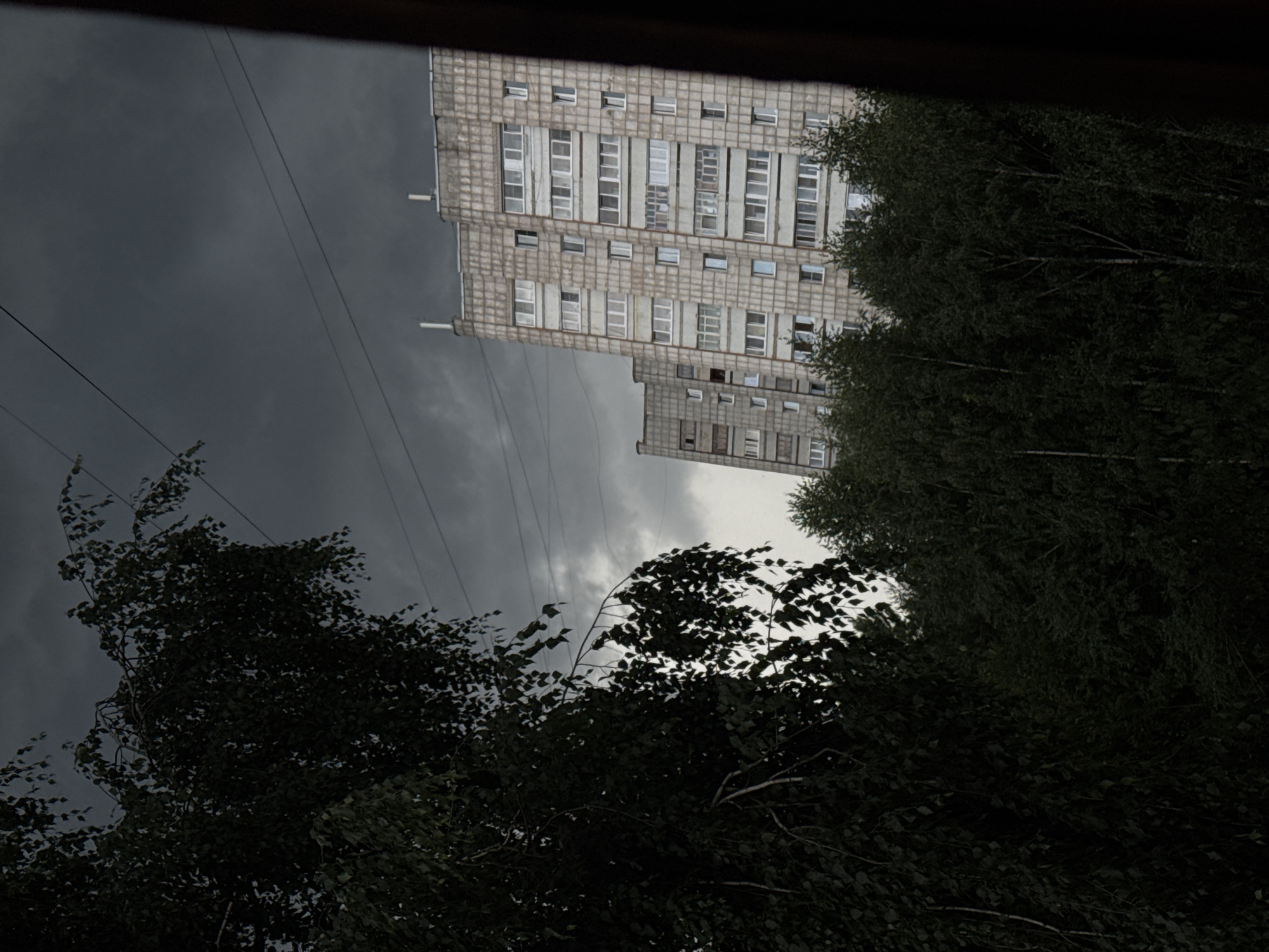 The image captures a view from an apartment building in Chaikovsky, Russia, on a cloudy day. In the foreground, a large, dark tree with many leaves dominates the left side of the frame. Behind the tree, several tall apartment buildings are visible. The buildings appear to be constructed of concrete blocks and have numerous windows. The sky is overcast with dark clouds, suggesting the possibility of rain or a storm. Power lines are strung across the sky, intersecting the view of the buildings. The overall atmosphere of the image is somber and somewhat foreboding due to the dark sky and dense foliage.