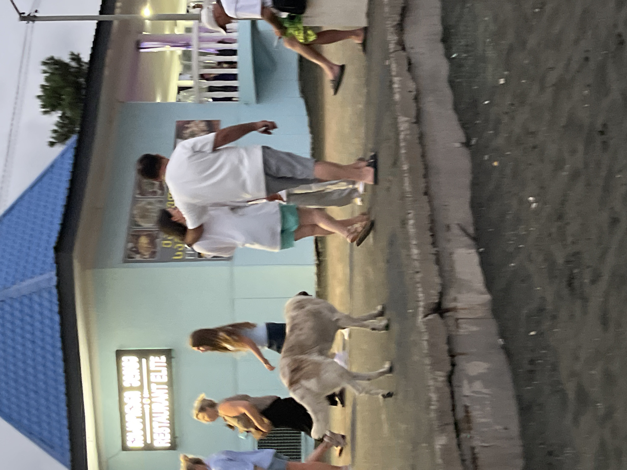 The image depicts a scene outside a building in Ureki, Georgia. A blue-roofed structure with a light blue facade is visible, featuring a neon sign that reads "RESTAURANT ELITE" in English, with some text in an unfamiliar alphabet above it. Several people are present. In the foreground, a large dog with light-colored fur walks from left to right. To the left of the dog, three women are walking from left to right. One woman in a light blue top and denim shorts is in the foreground, followed by two women in darker clothing. To the right of the dog, a couple walks away from the camera, with the man in a white t-shirt and grey shorts and the woman in a white t-shirt and green shorts. Further to the right, a man in a white t-shirt and shorts sits on a raised surface, looking down at his phone. The ground appears to be paved, and there is a body of dark water or wet sand in the very bottom of the frame. The overall atmosphere suggests a casual, possibly evening setting.