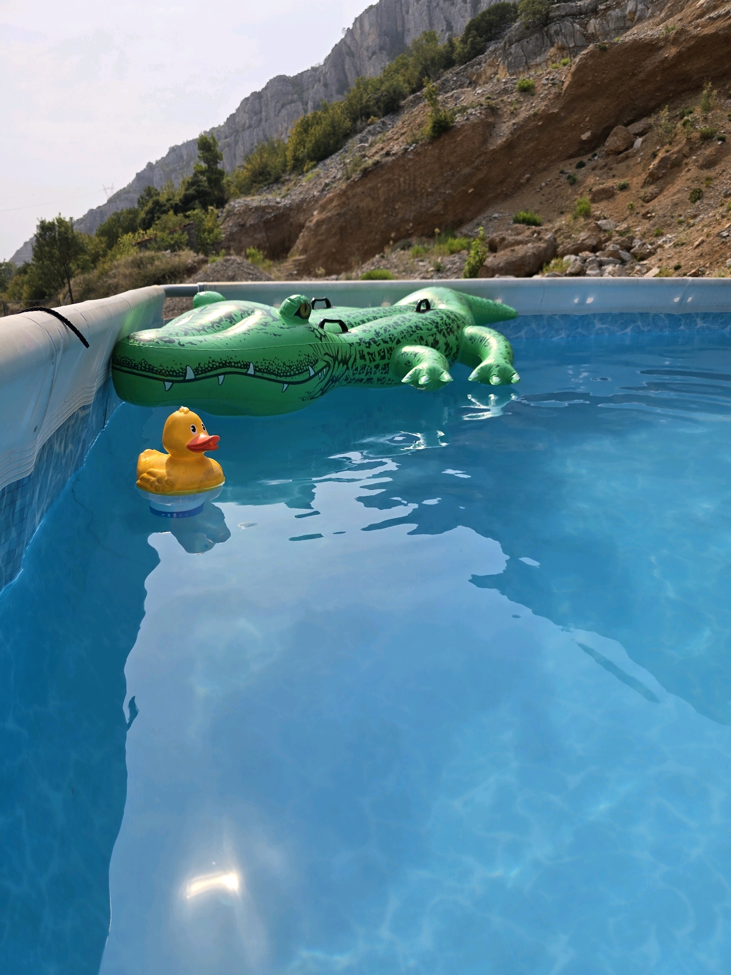 An inflatable green alligator float and a yellow rubber duck float are in a bright blue swimming pool. The pool has a white rim and is situated outdoors, with a rocky, treed mountainside in the background under a bright sky. The location is identified as Podgorica, Montenegro. There are no people or animals present.