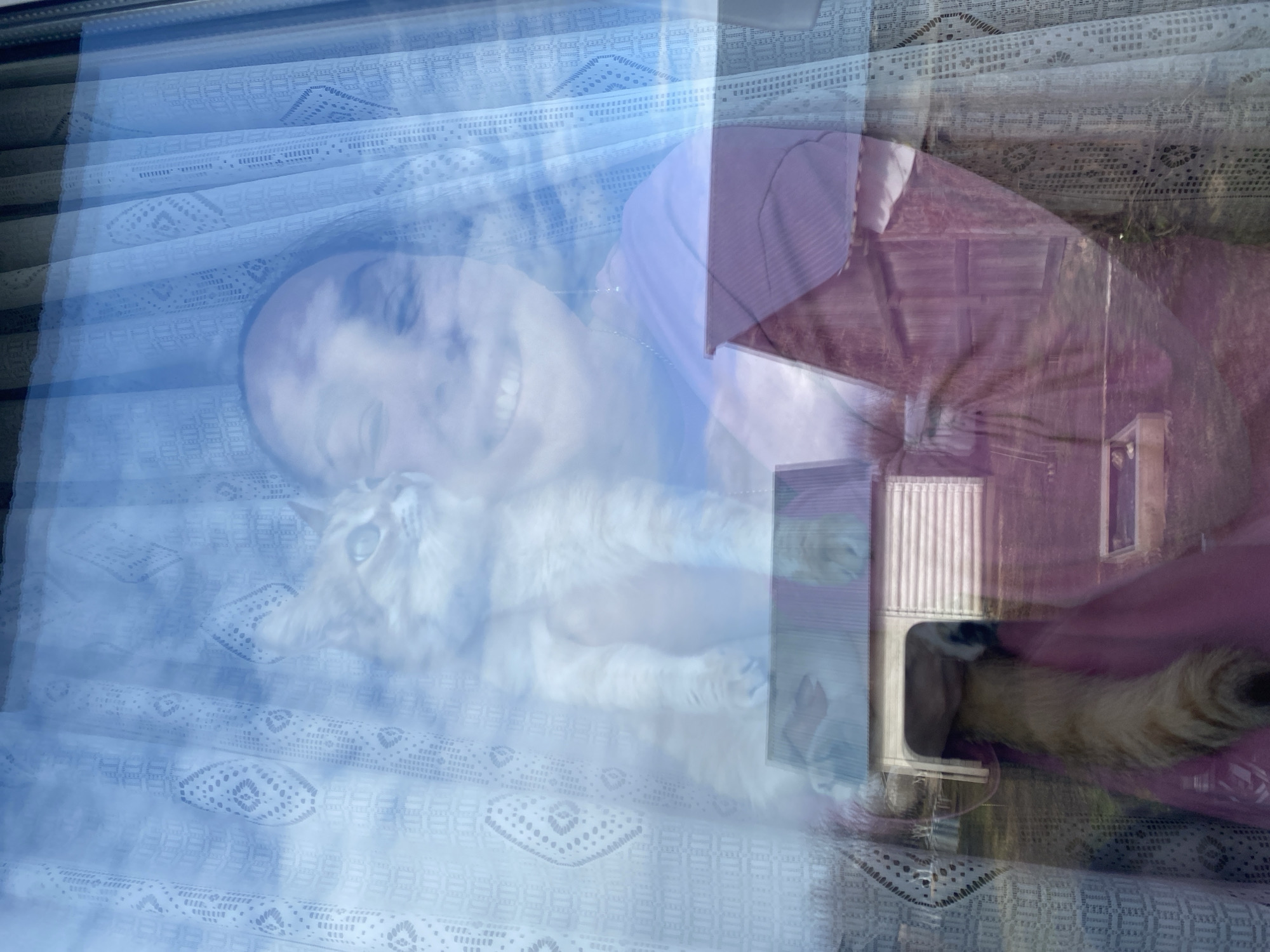 A reflection in a window shows a smiling person, a cat, a building, and an air conditioning unit. The window has a white lace curtain. Outside the window is a building with an air conditioning unit attached. It is not possible to verify the city location.