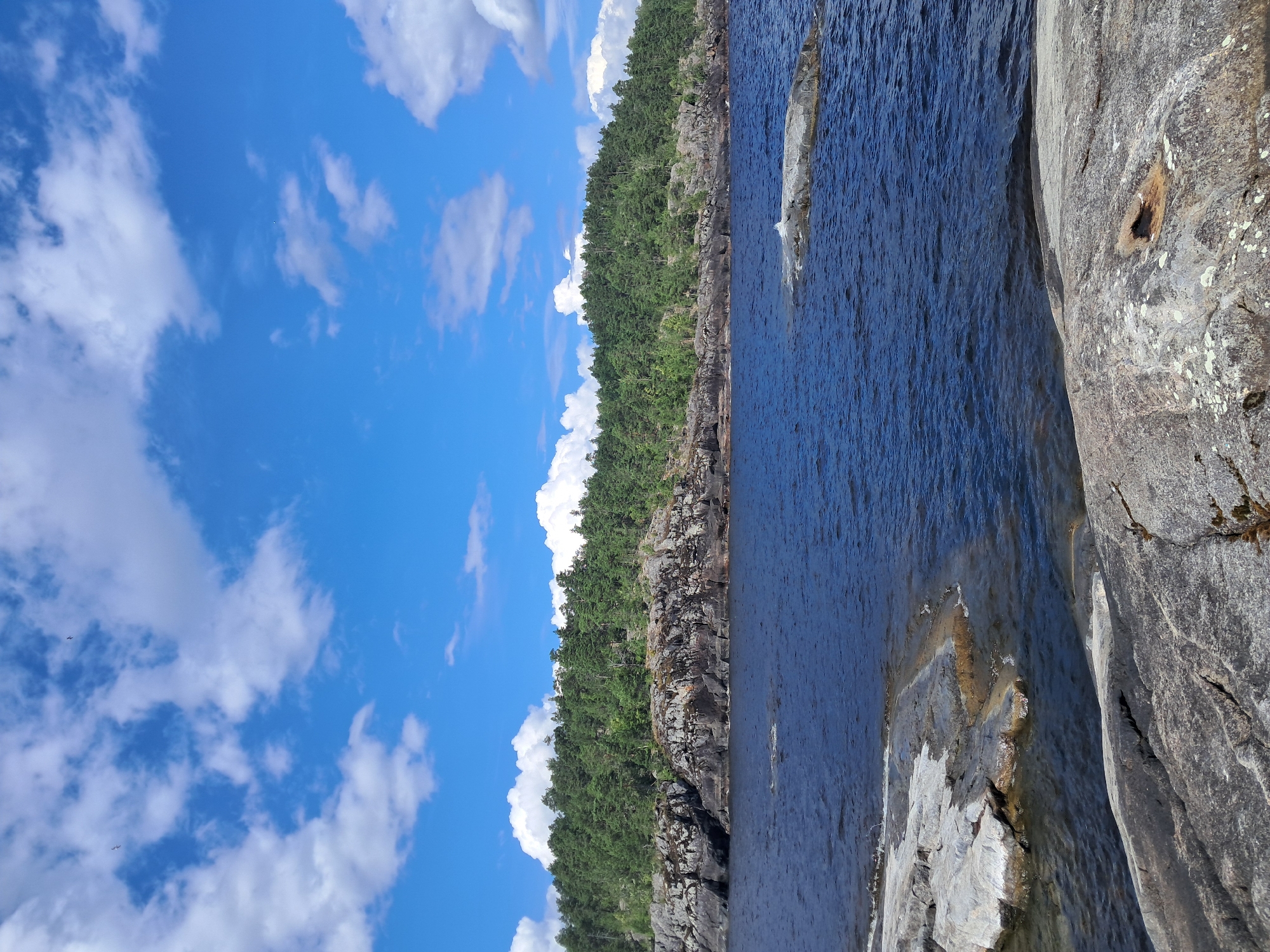 The image shows a rocky shoreline with dark blue water. In the foreground, there are several large, grey rocks with lichen. The middle ground features a body of water with smaller rocky outcrops. The background is dominated by a dense green forest covering a rocky cliff face, extending to the horizon. The sky is a bright blue with scattered white cumulus clouds. Two small birds are visible in the sky. The overall scene depicts a natural, undeveloped landscape. The provided location is Tervu, Russia, suggesting this is a view of the natural surroundings of that area. There are no people or man-made structures visible in the image, besides what appears to be a small metallic object embedded in a rock in the foreground.