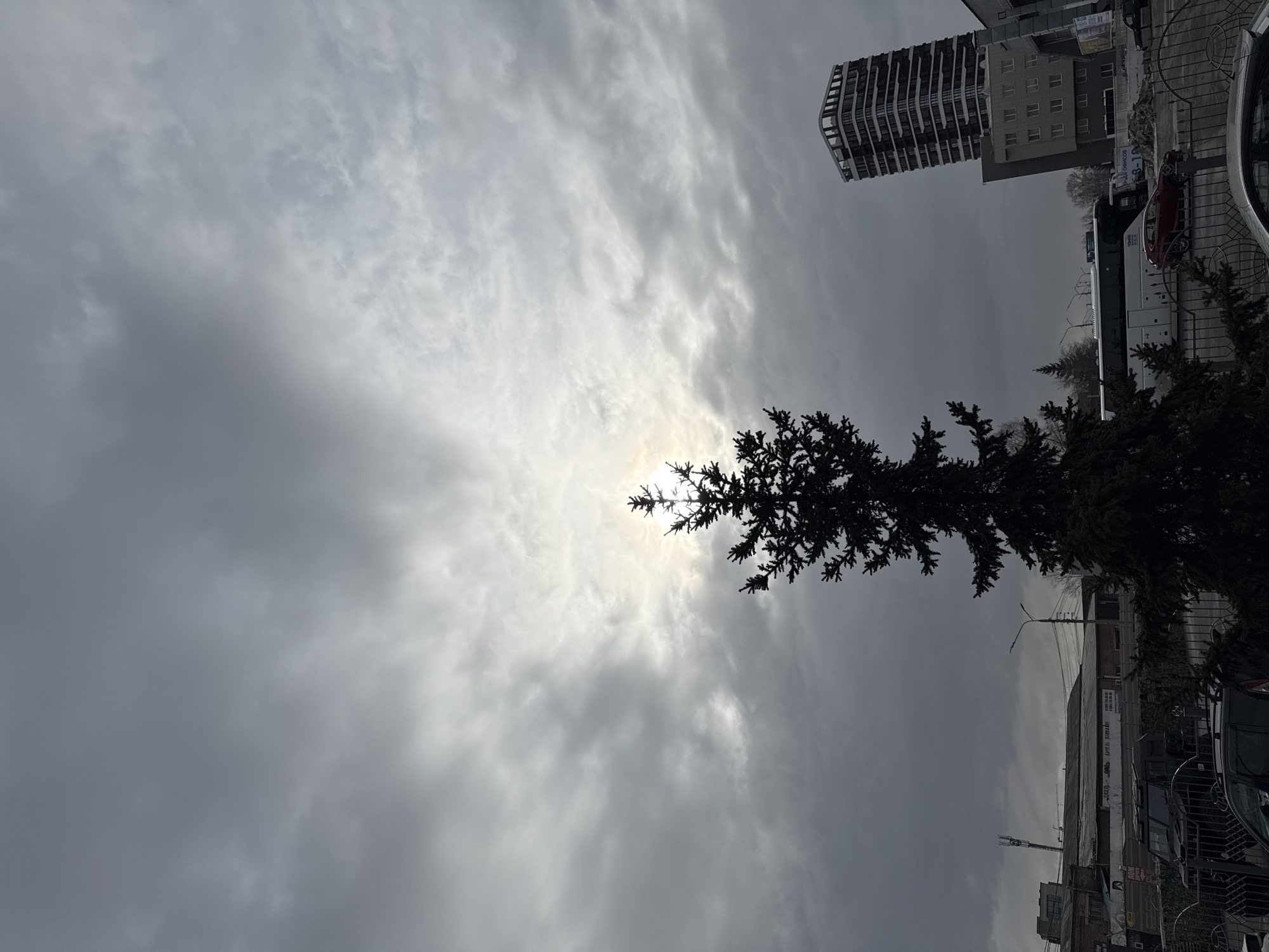 The photograph, taken in Krasnoyarsk, Russia, presents a cloudy sky with the sun partially obscured by clouds. A tree is silhouetted against the bright area where the sun is located. A building with several windows is visible in the upper right-hand corner. A street with cars parked alongside is visible along with street lights and power lines.